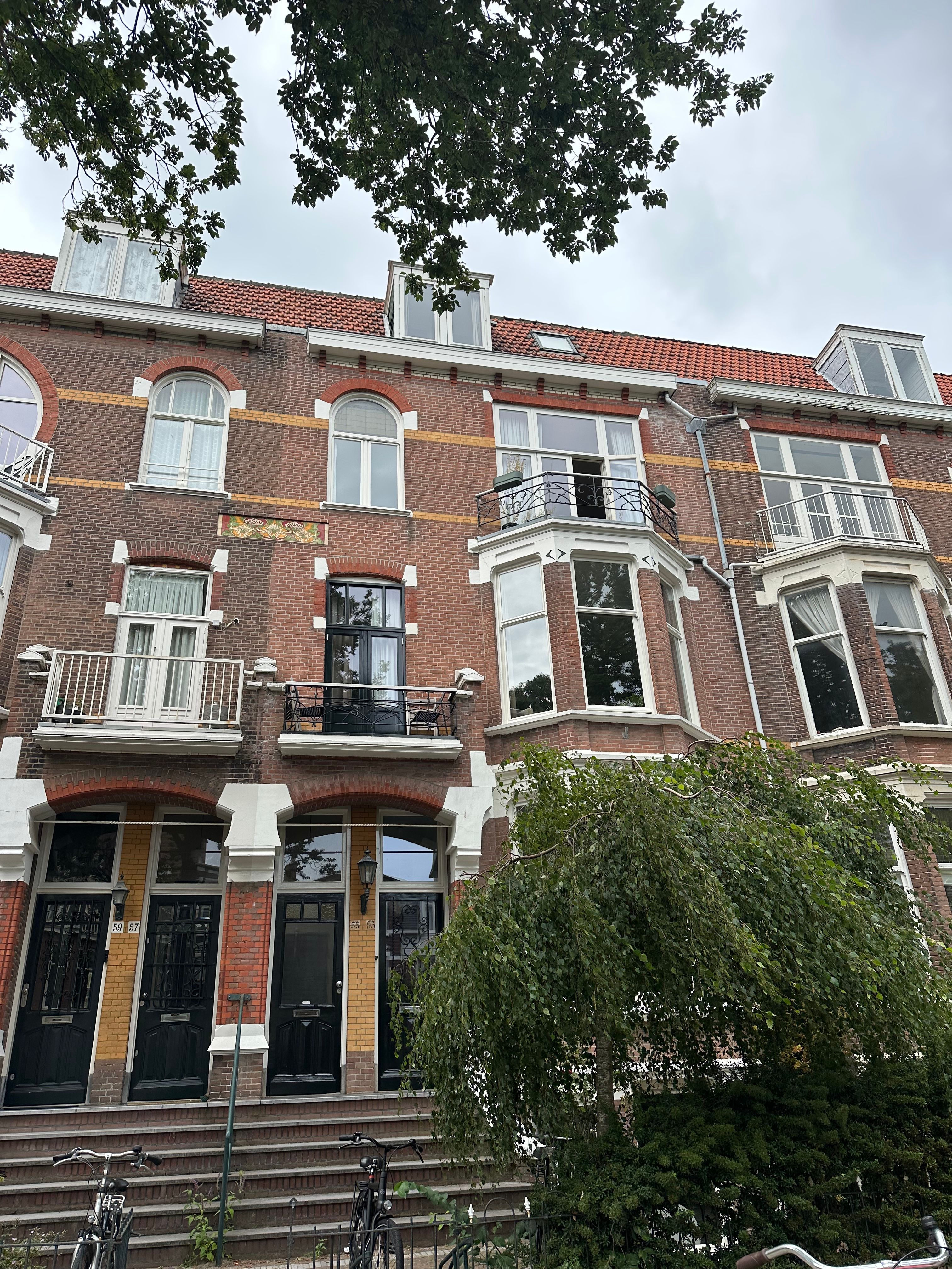 image-19