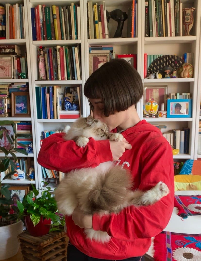 image-12