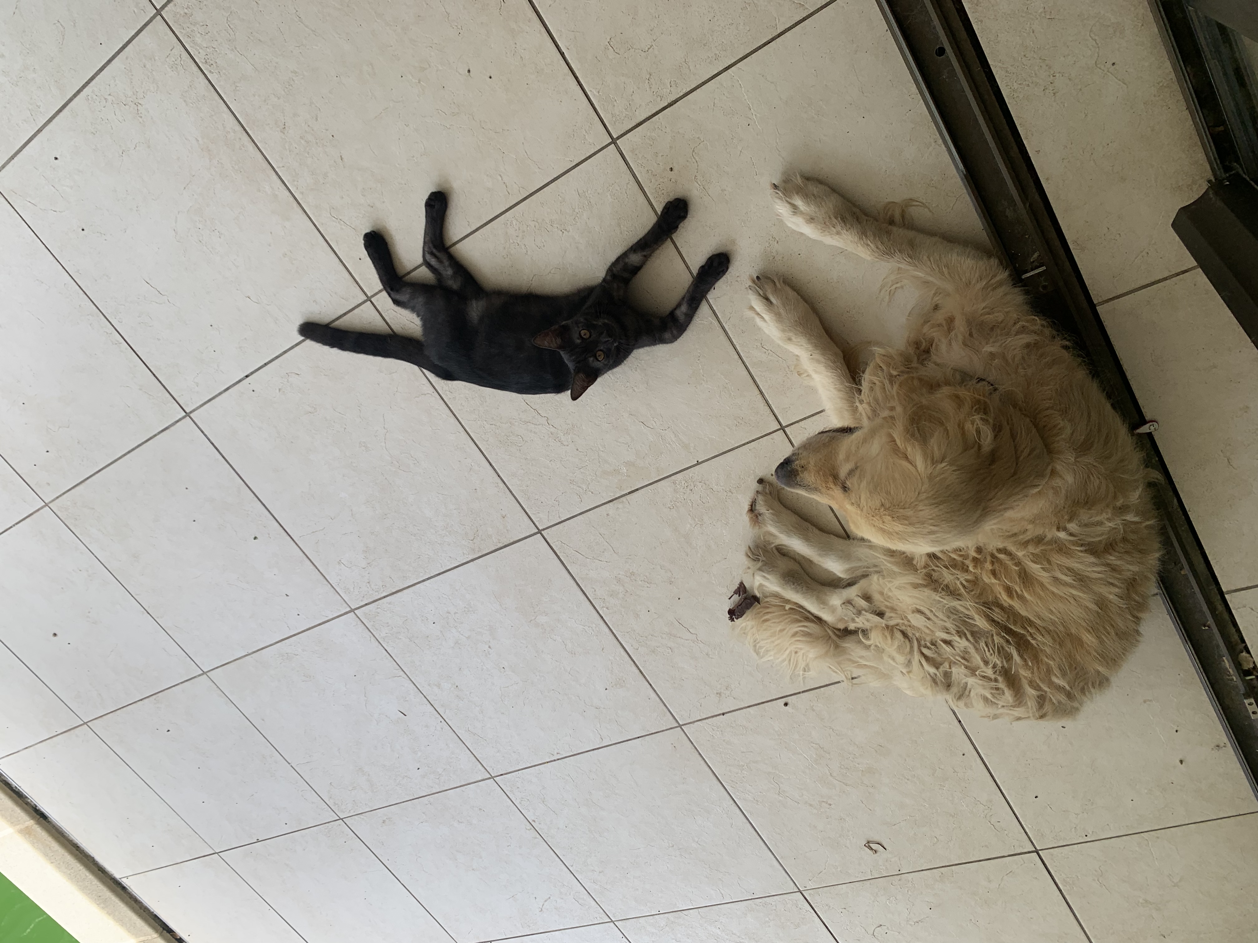 image-11