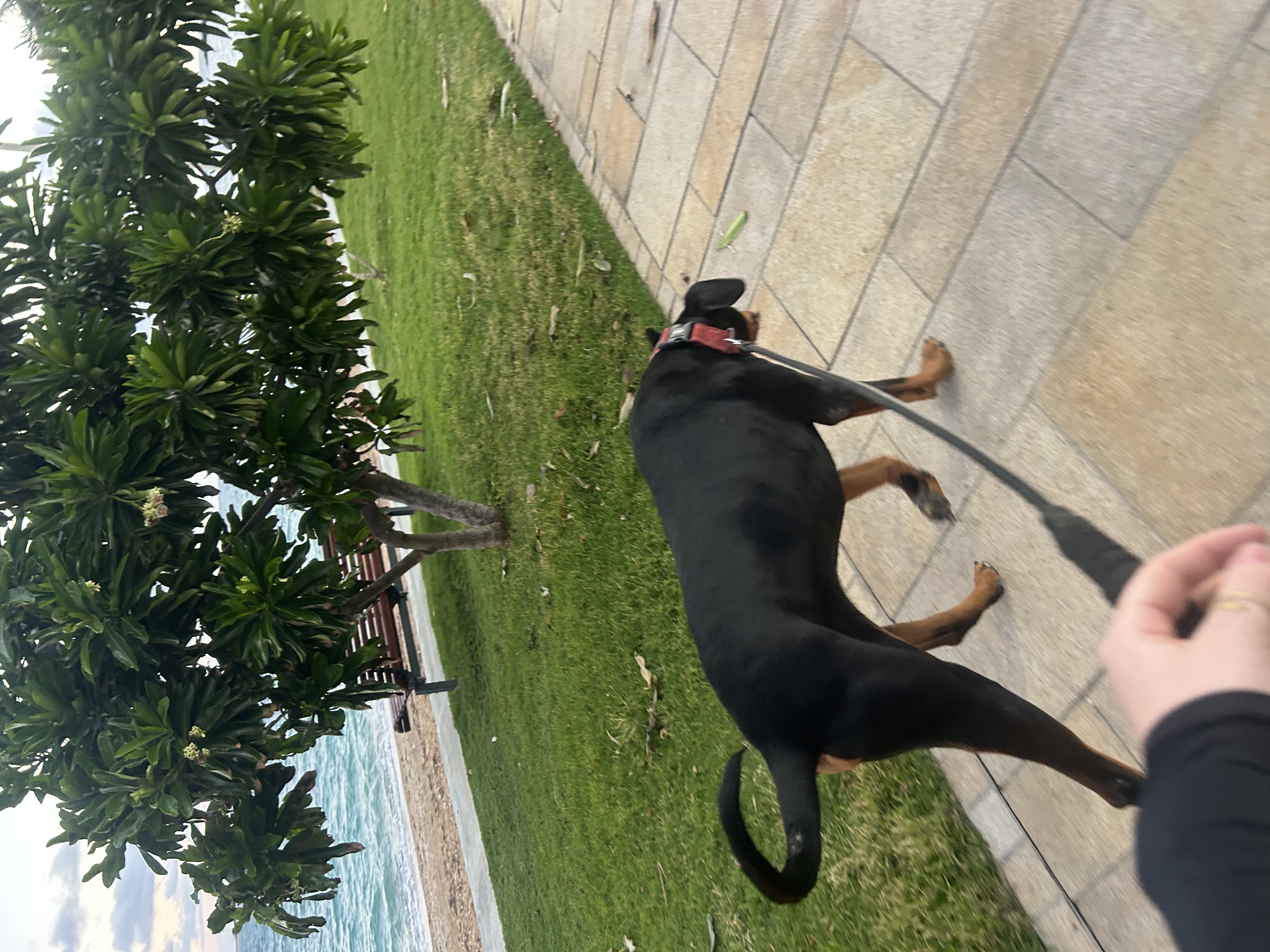 image-6