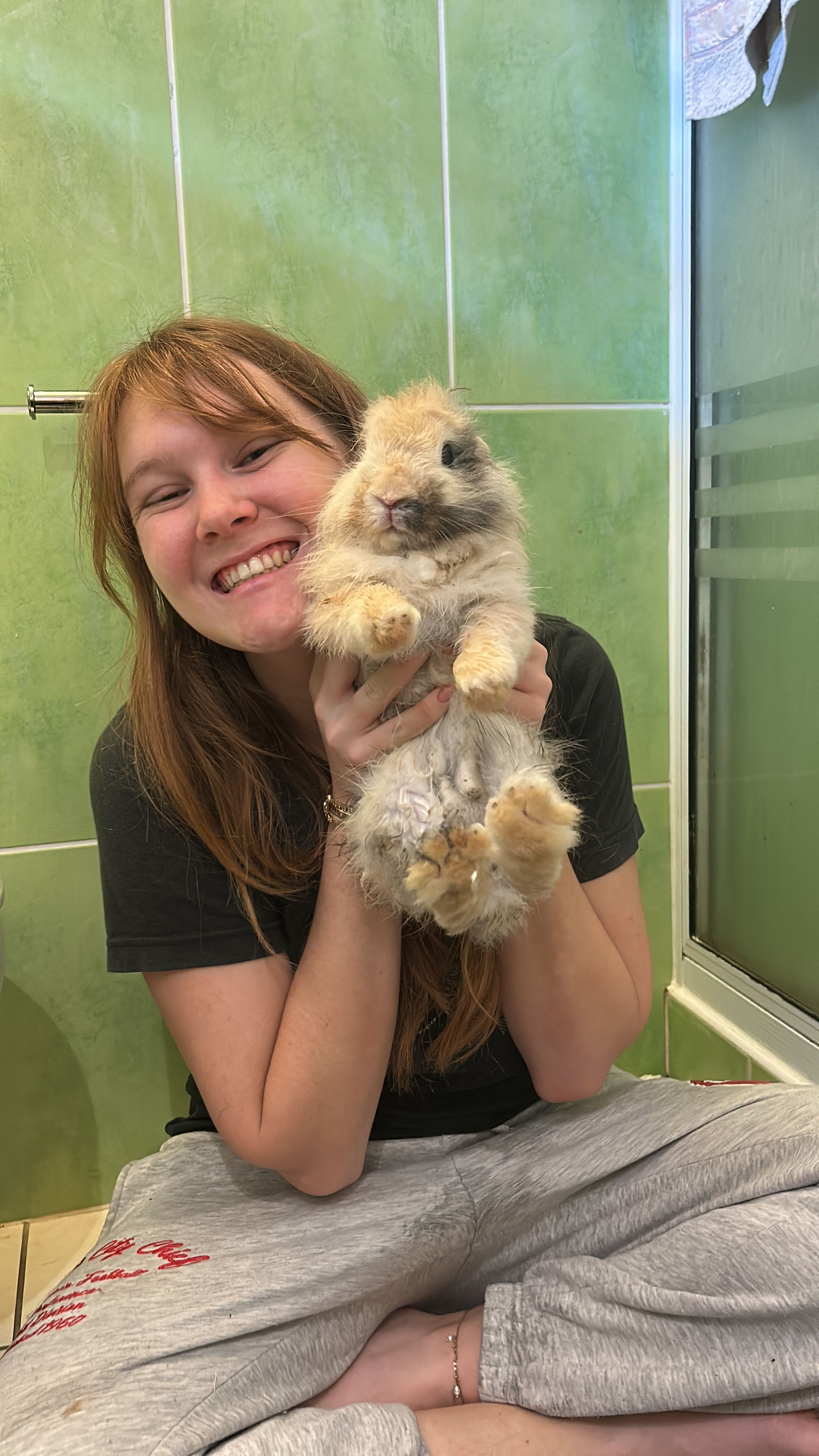 image-1