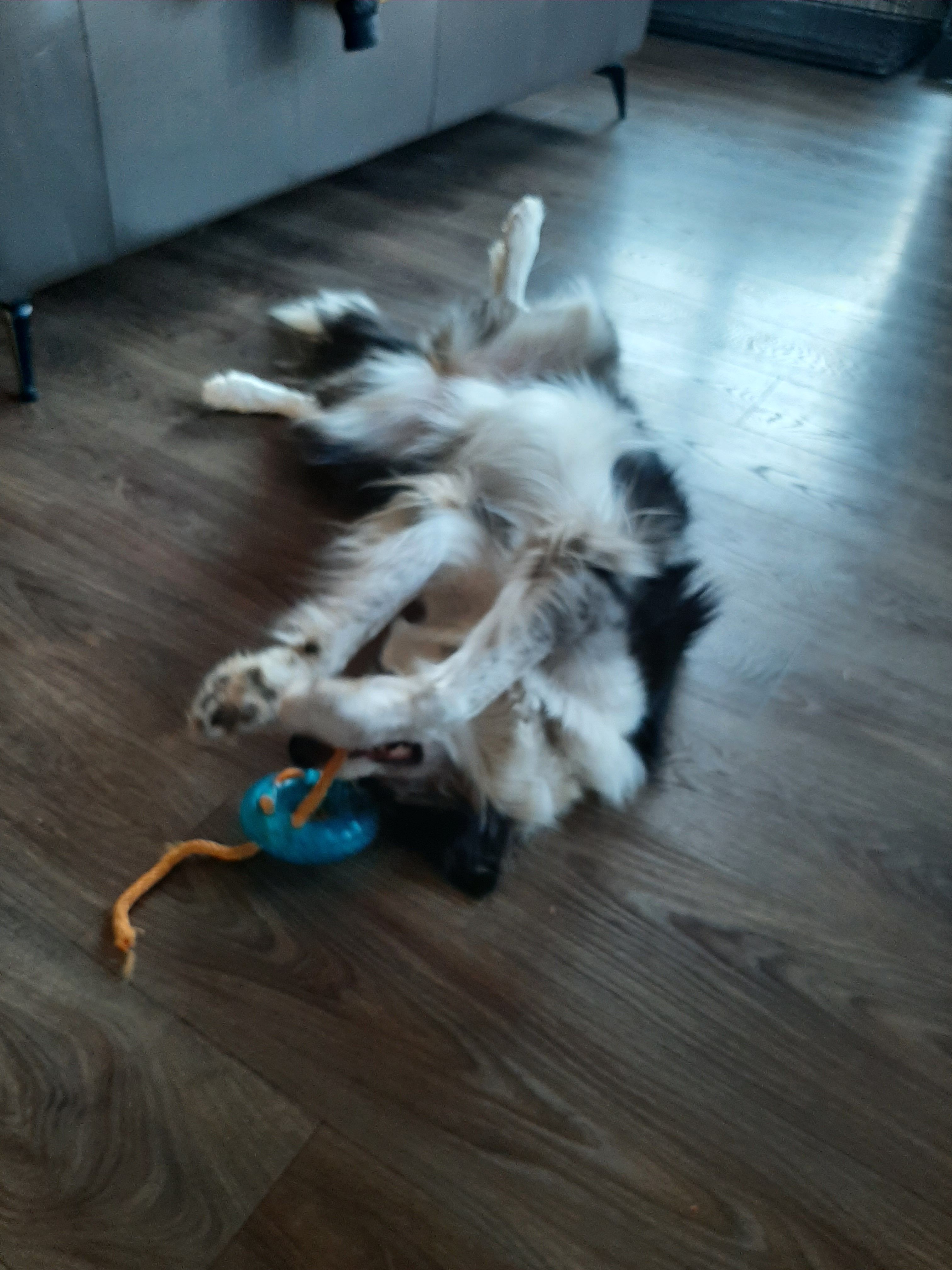 image-12