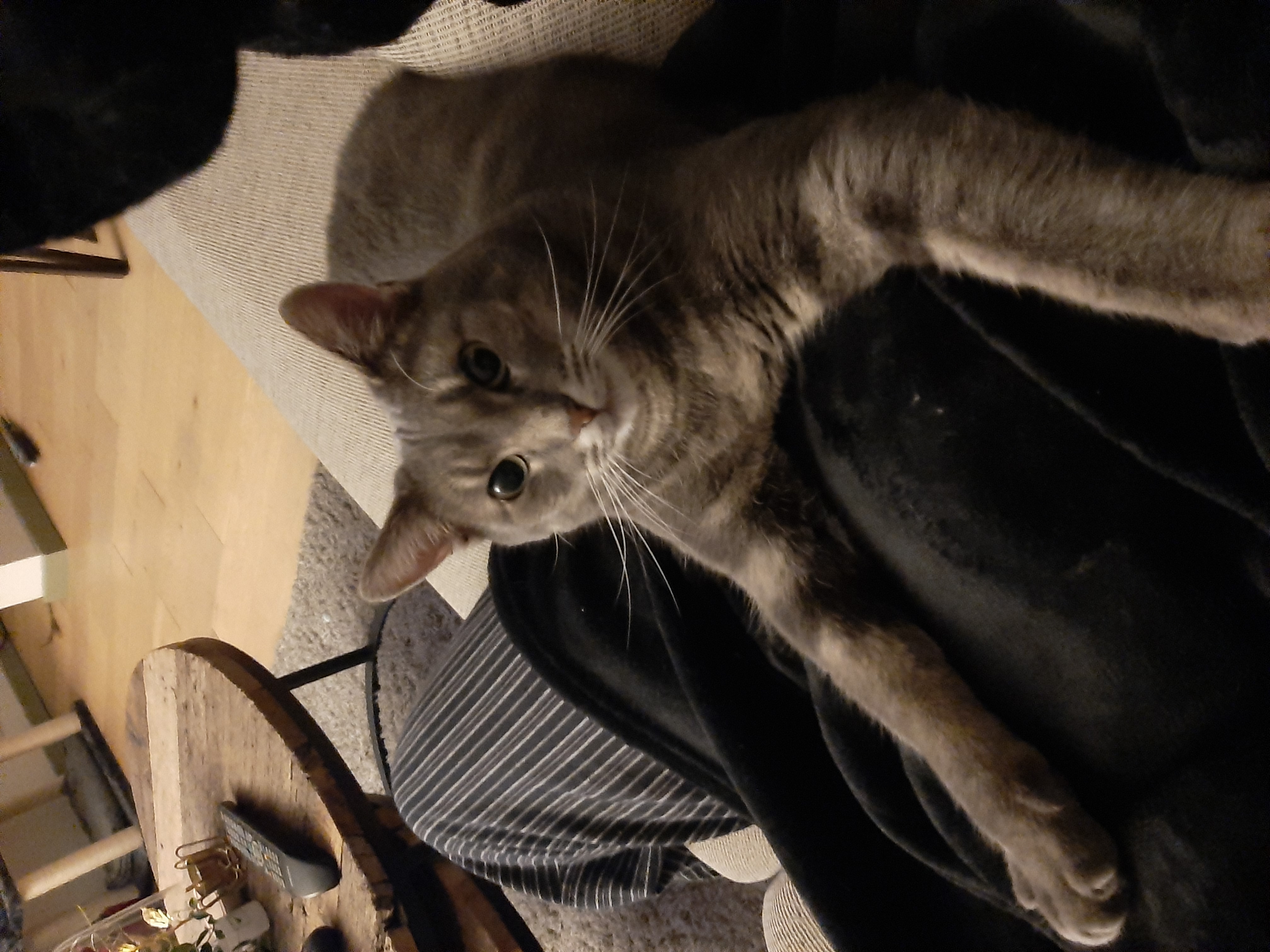 image-13