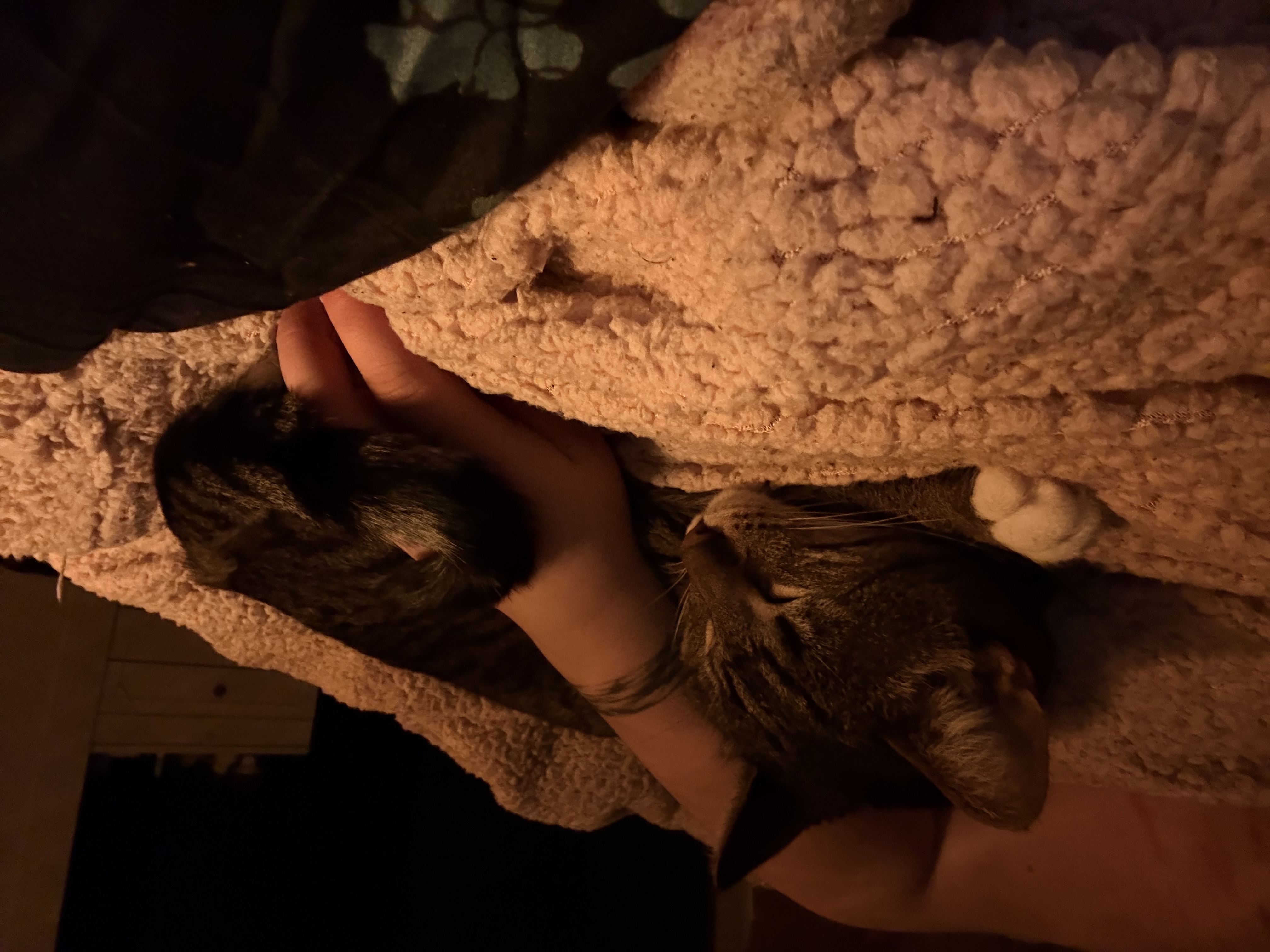 image-9