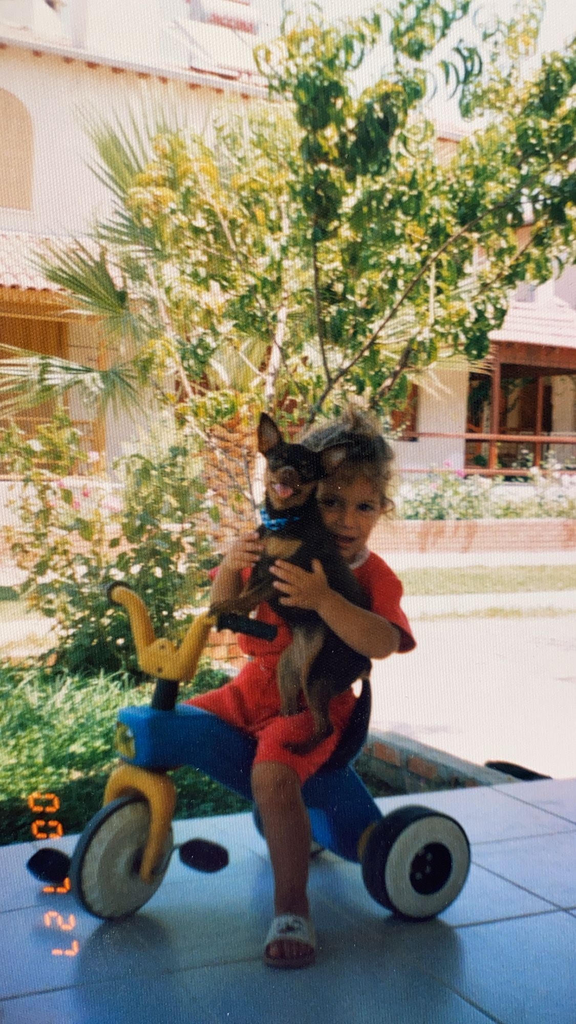 image-2