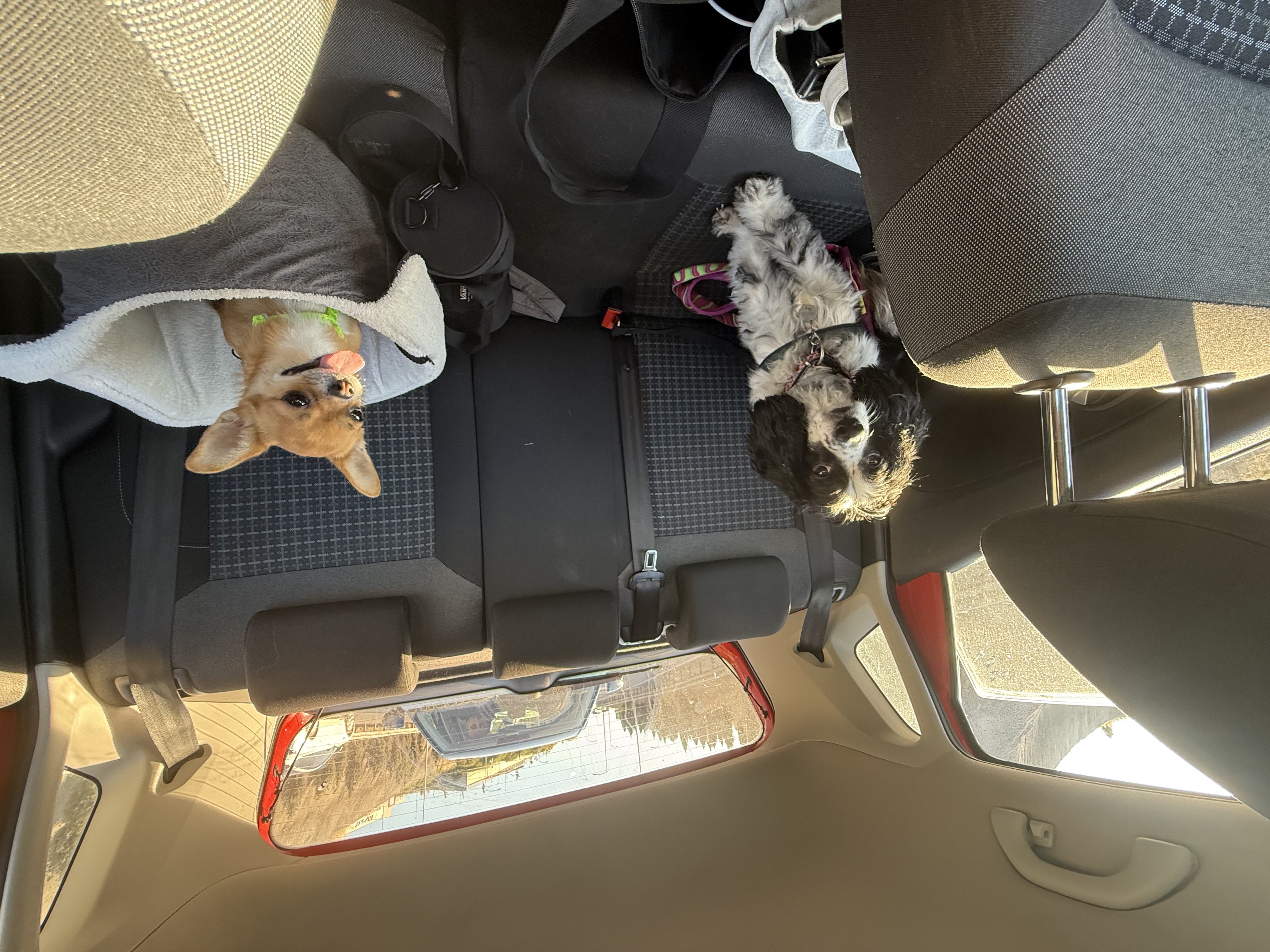 image-12