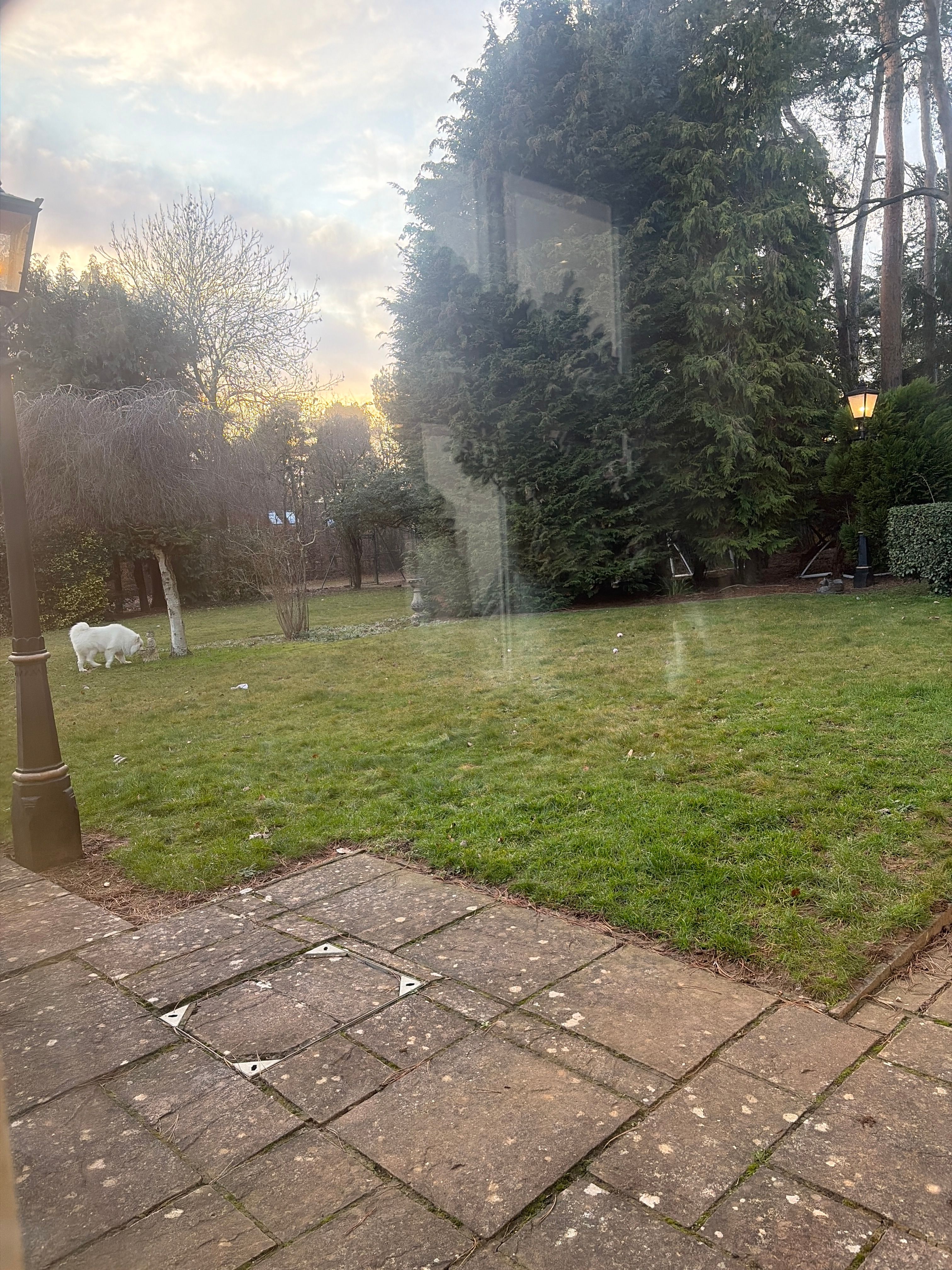 image-12
