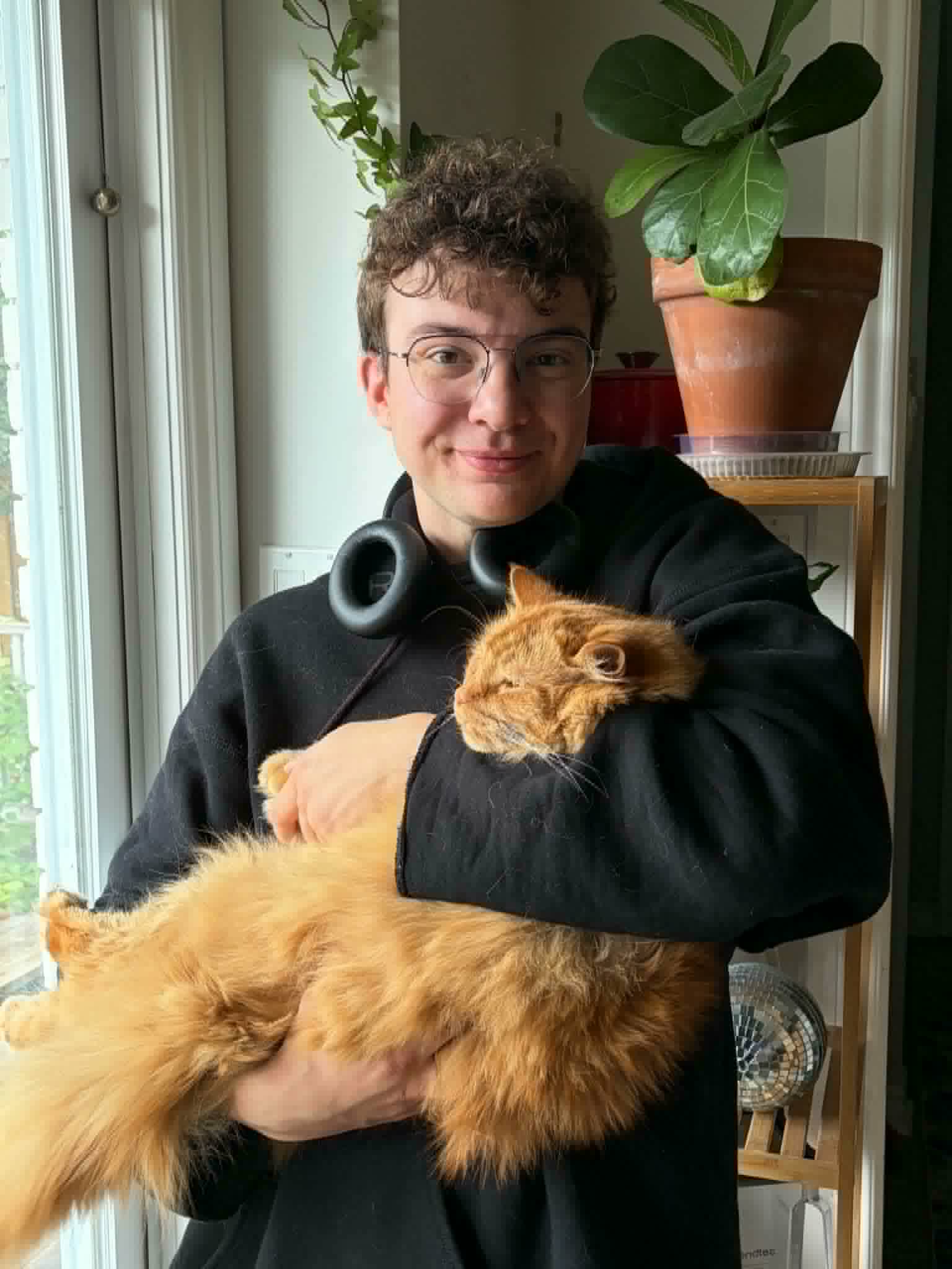 image-8