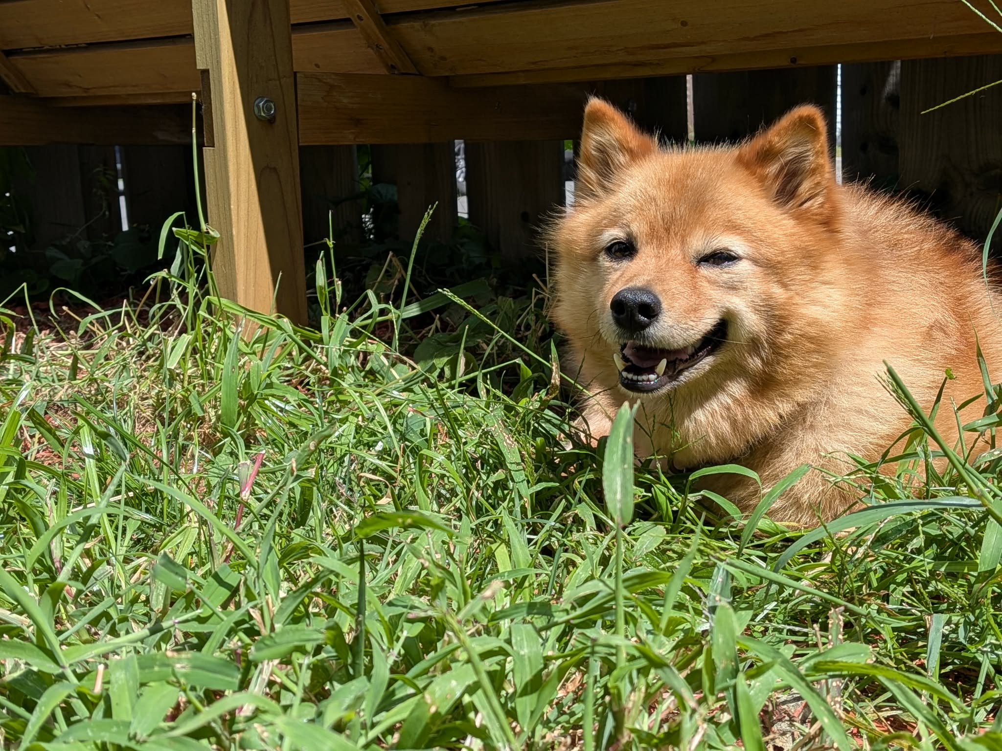 image-12