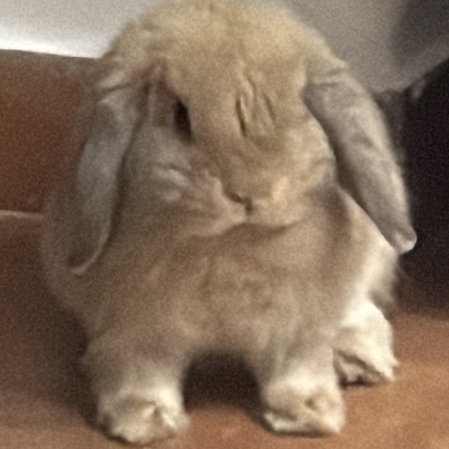 Luna