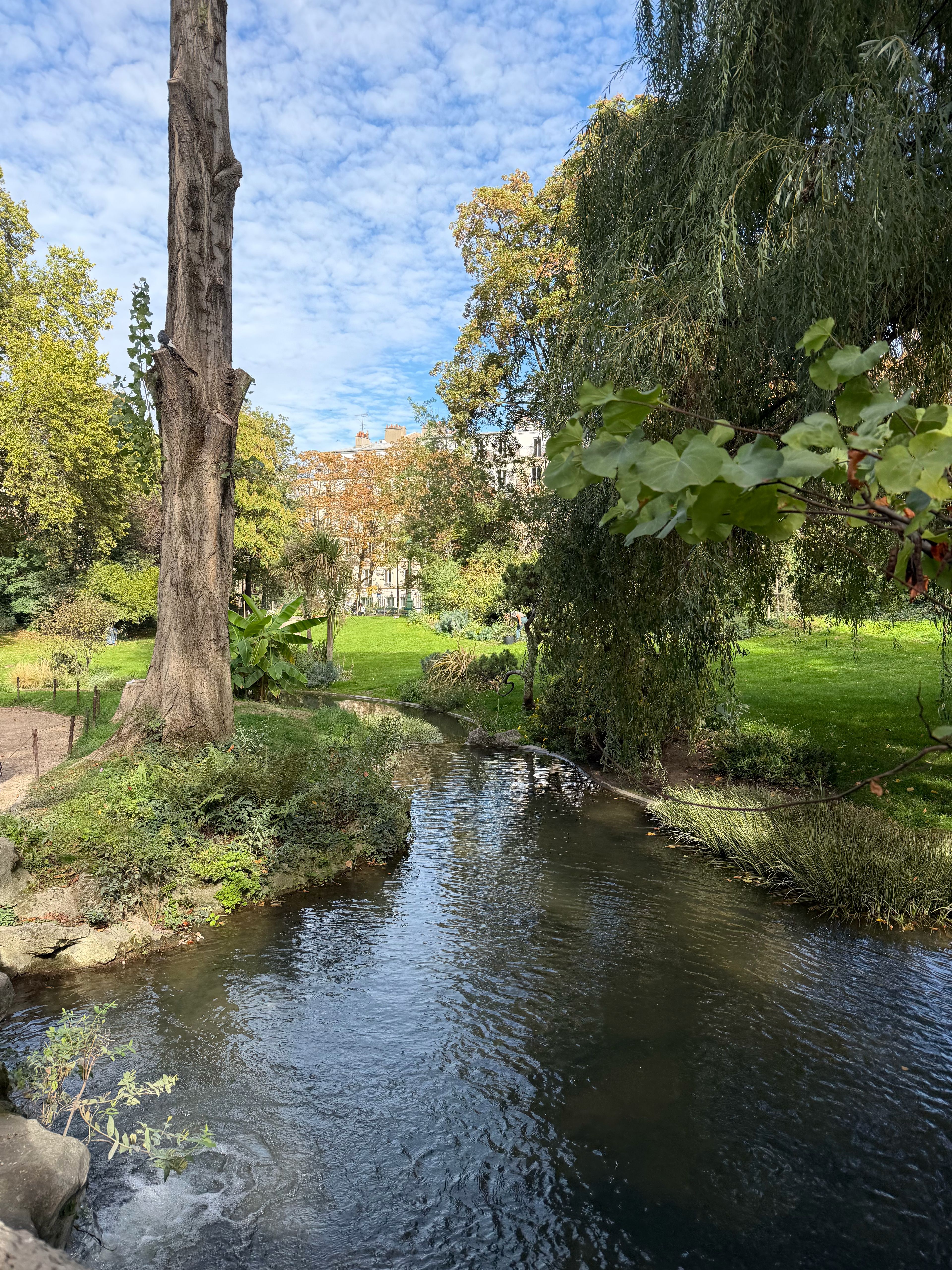 image-24