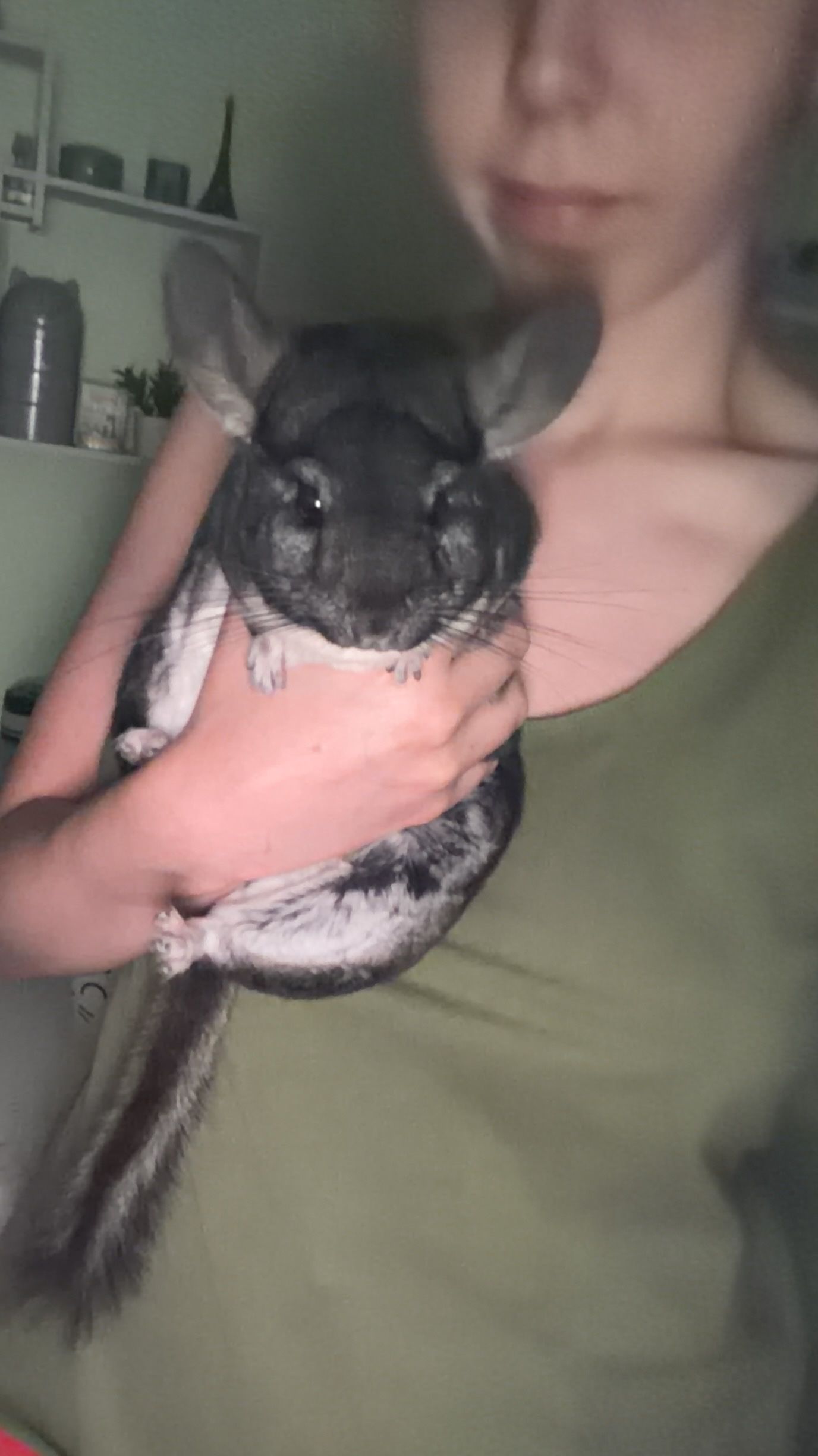 image-6