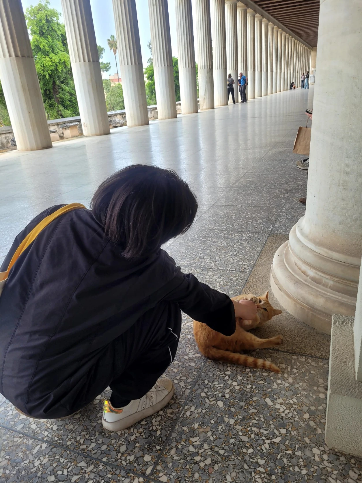 image-6