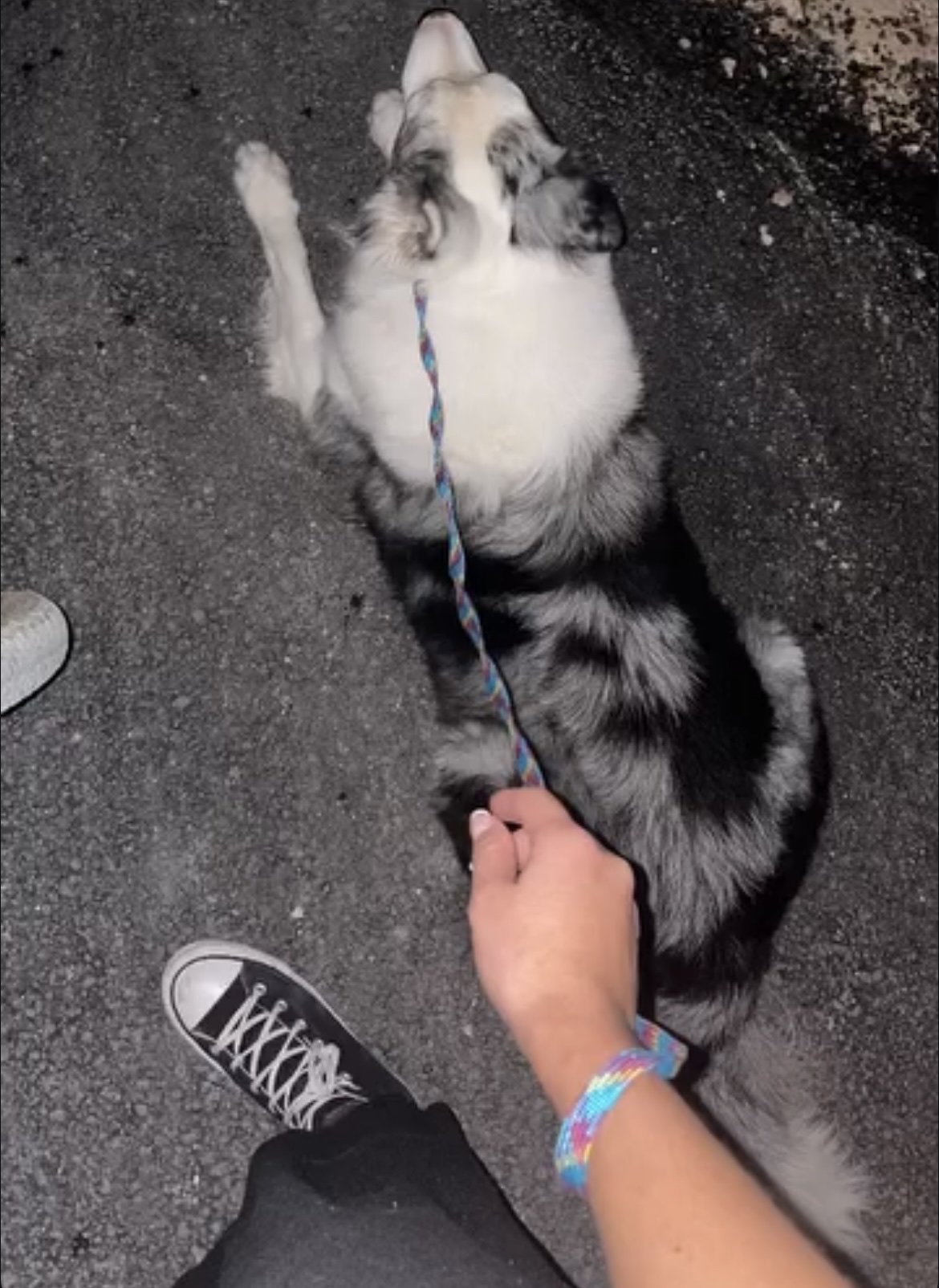 image-7