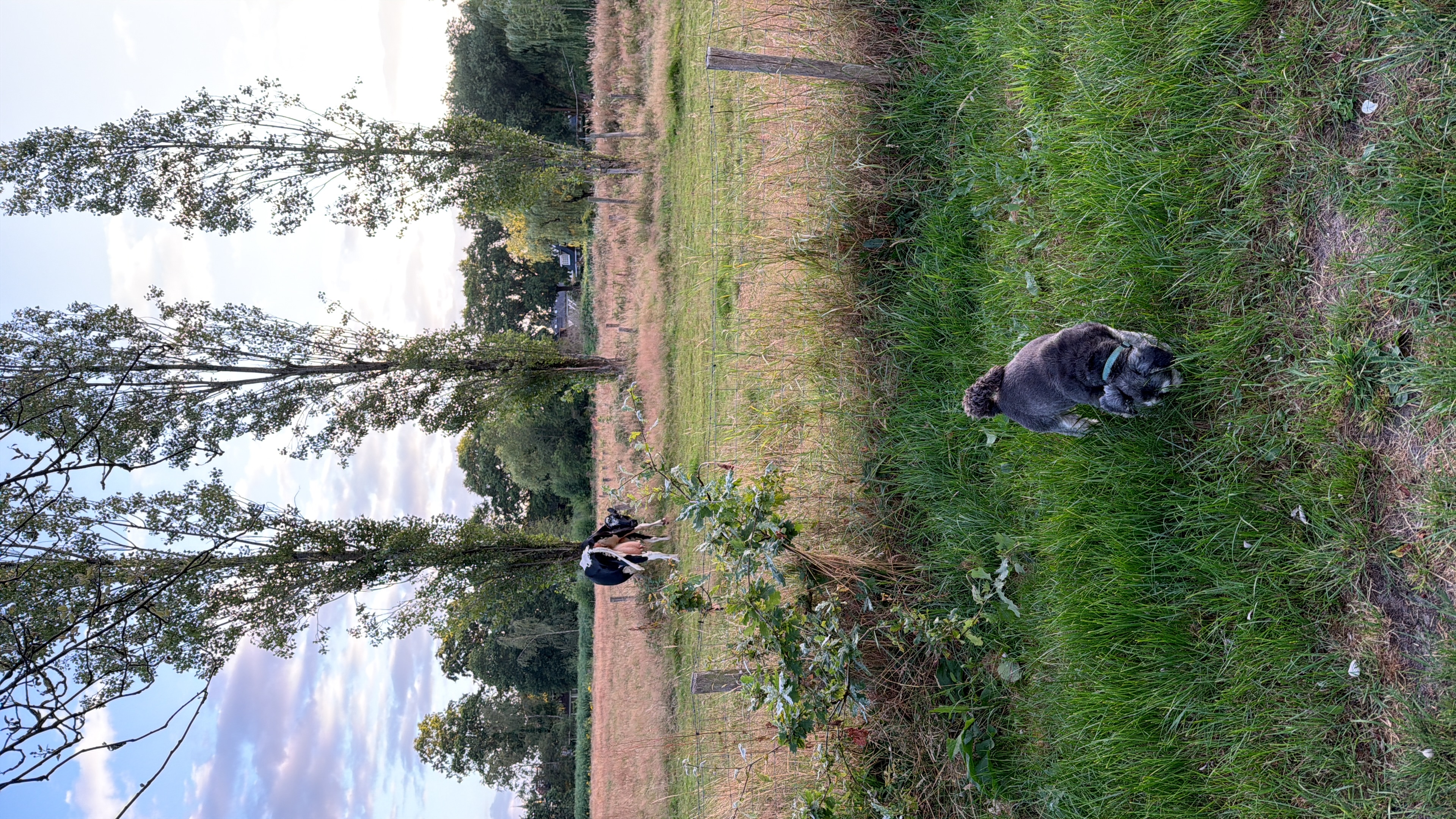image-14