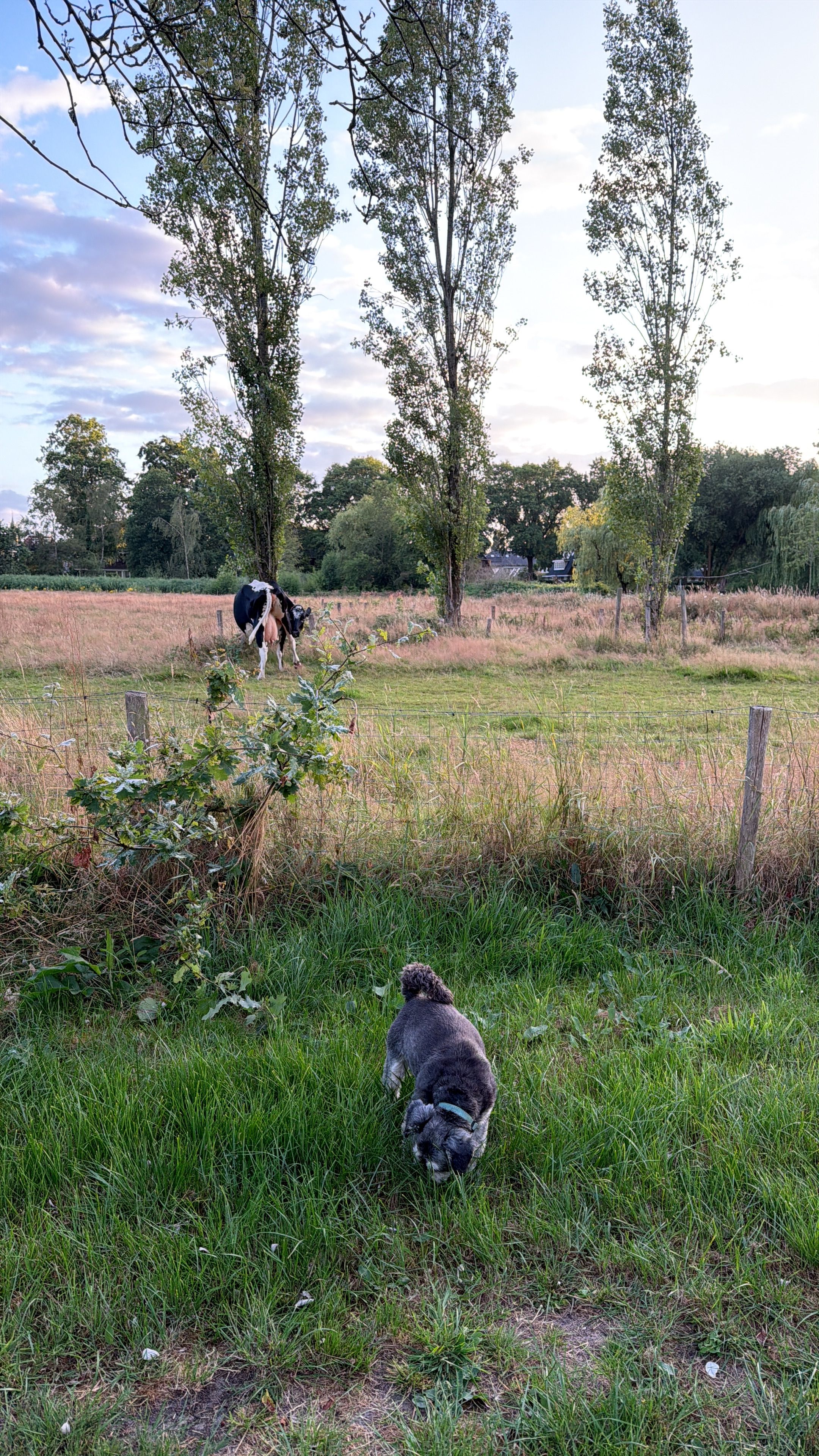 image-14