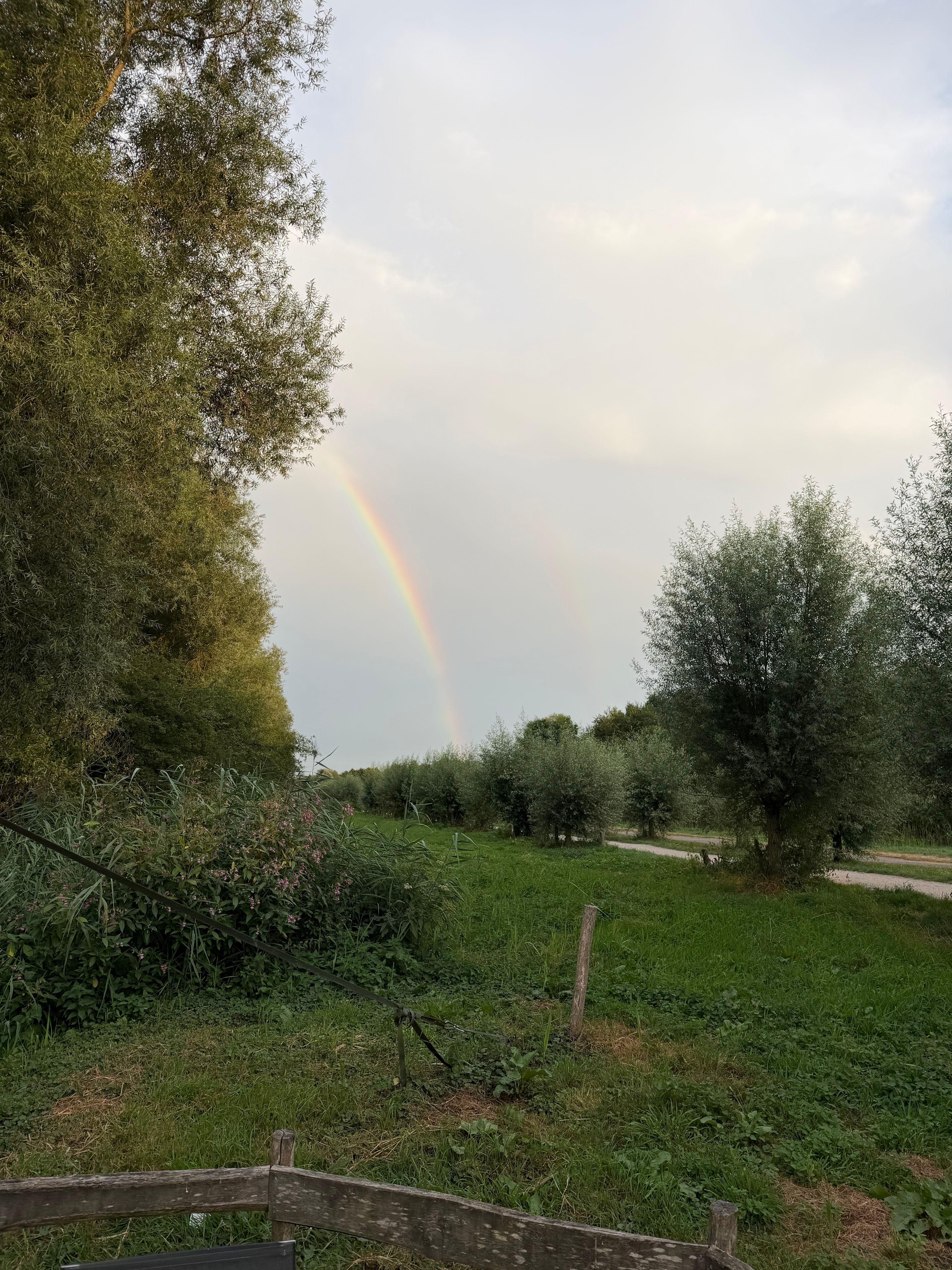 image-23
