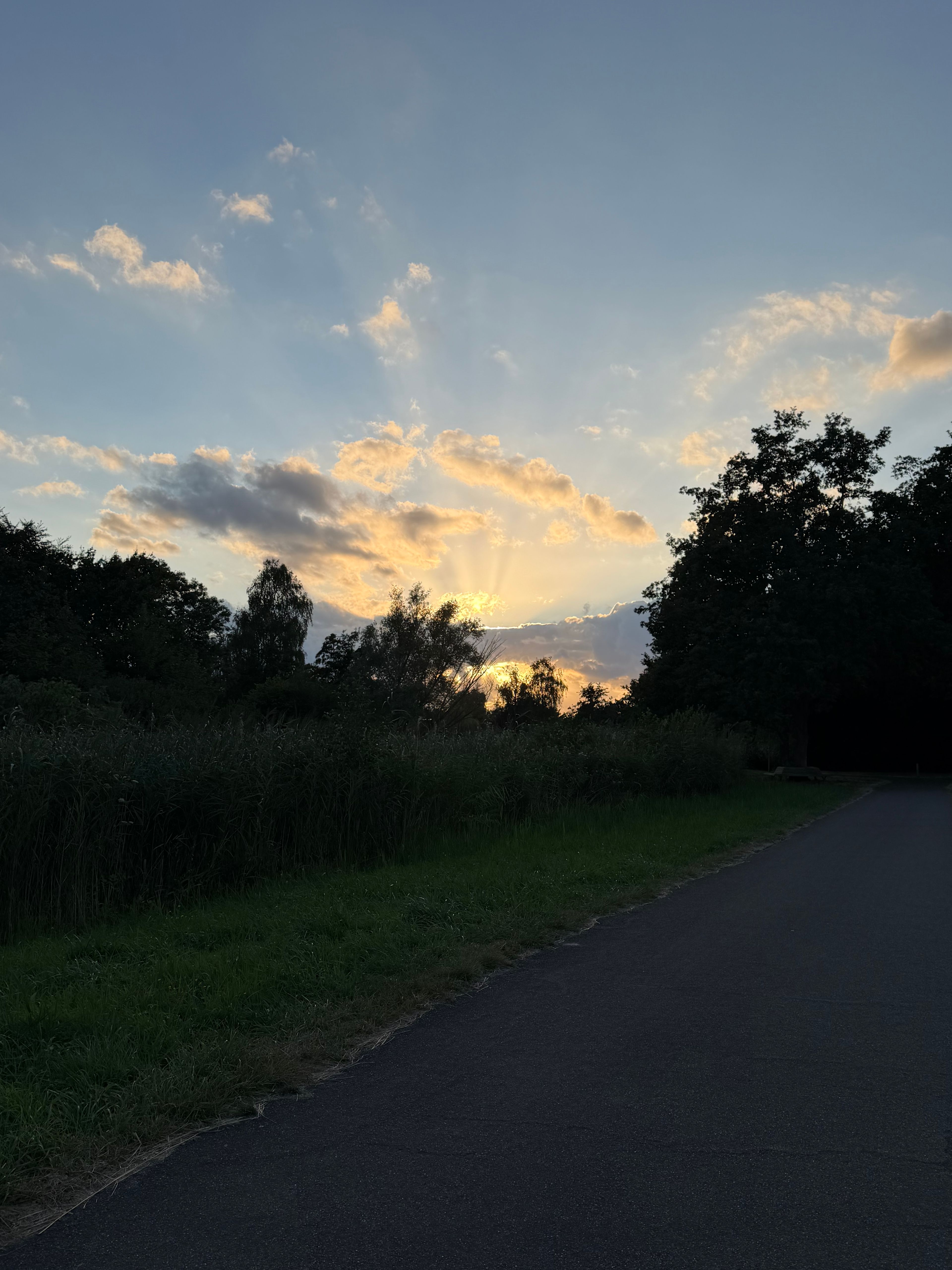 image-24