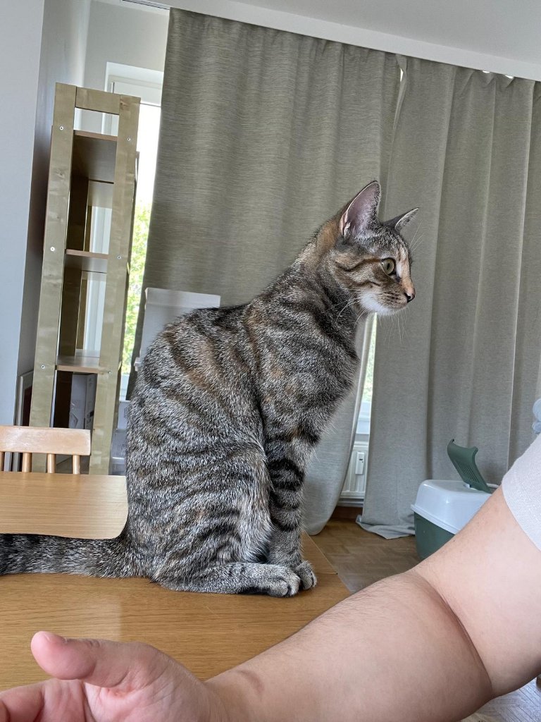 Lily