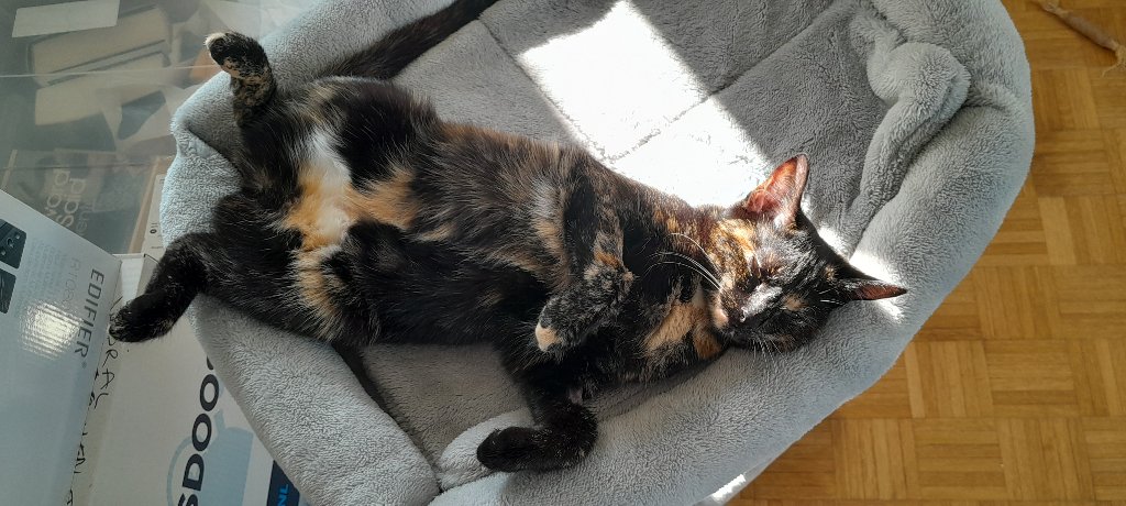 Rosie