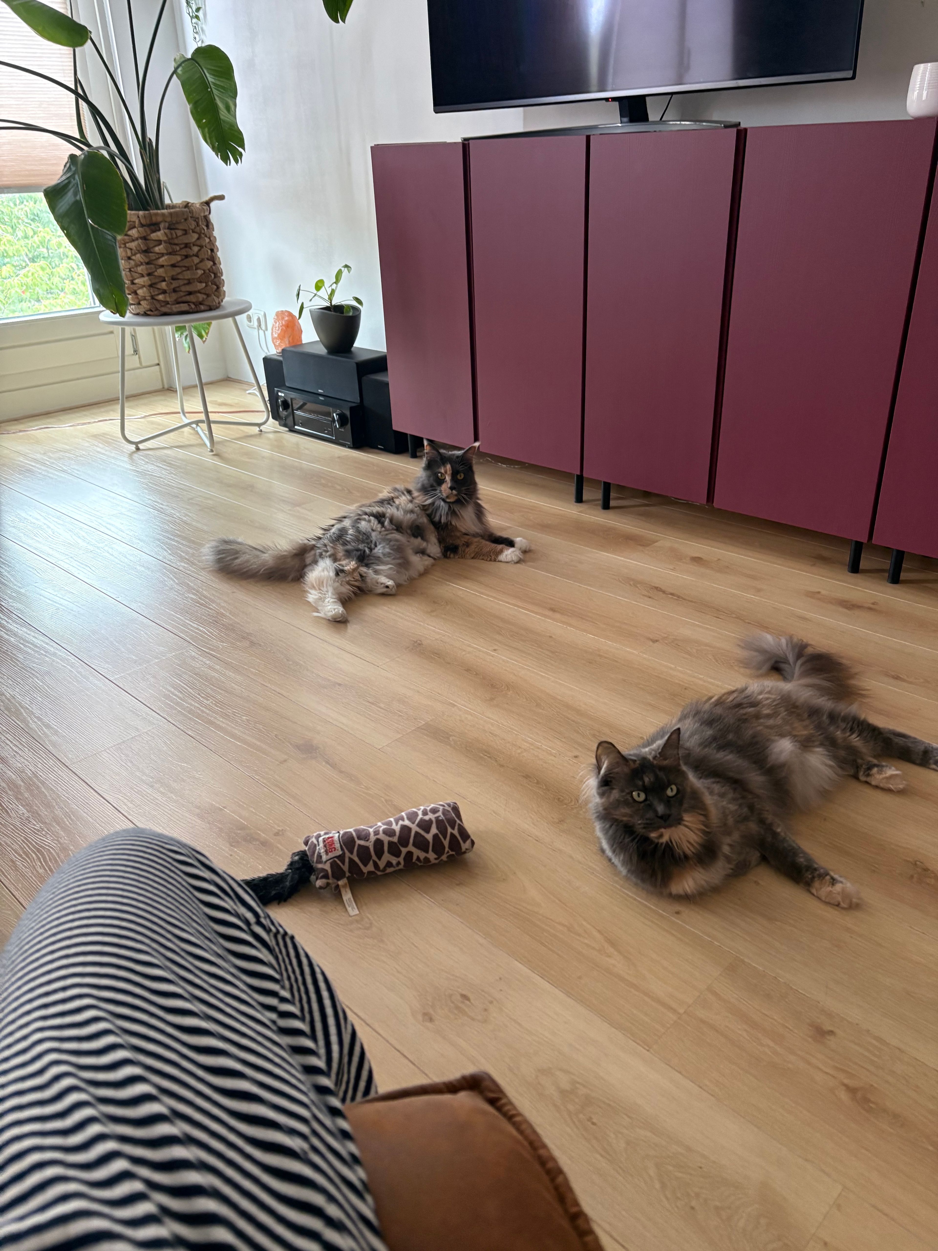 image-11