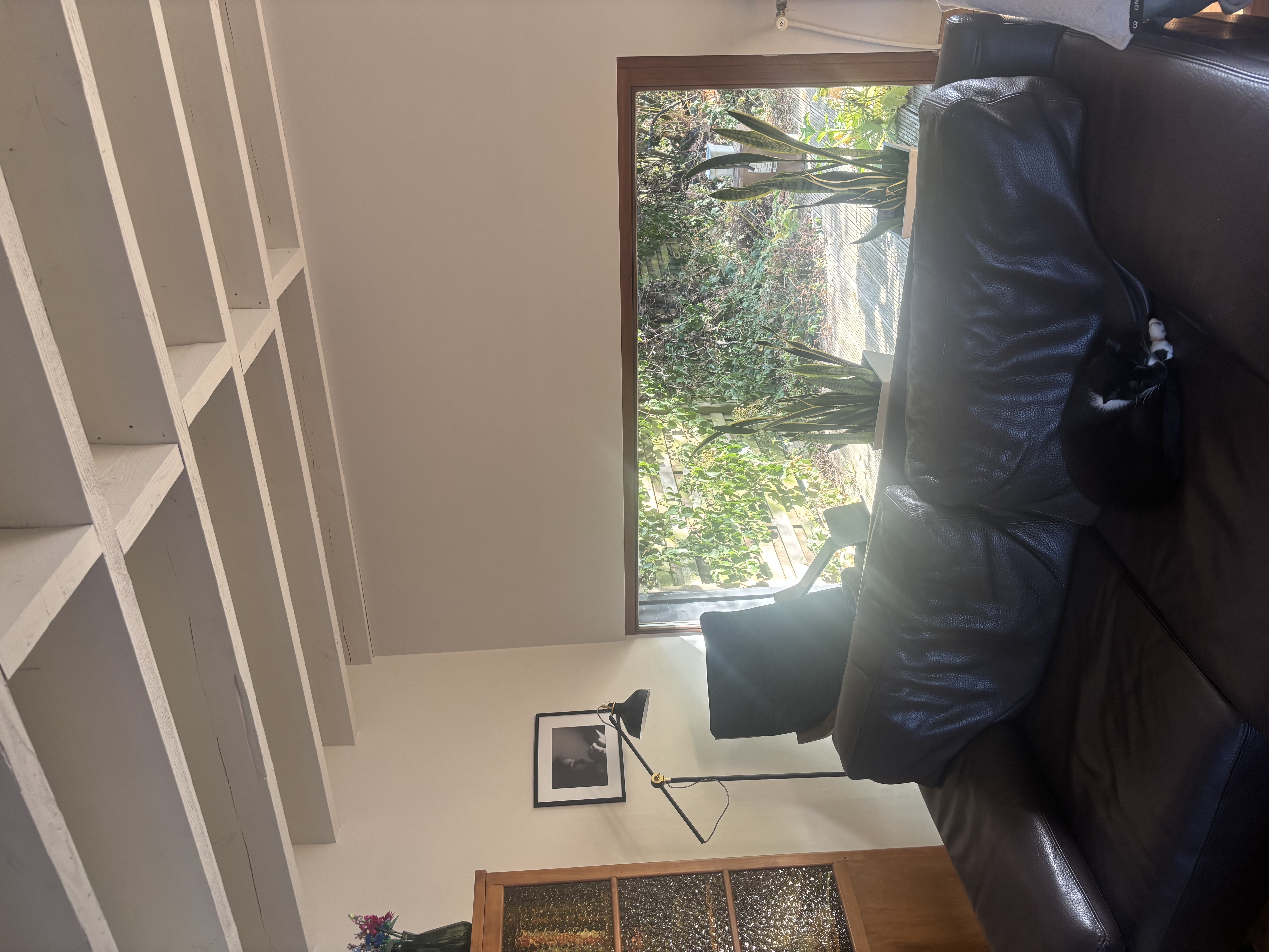 image-8