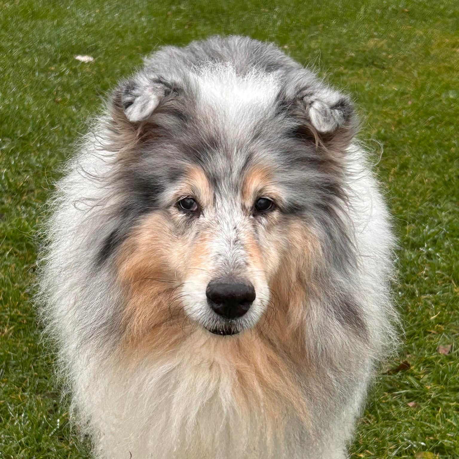 Djuna