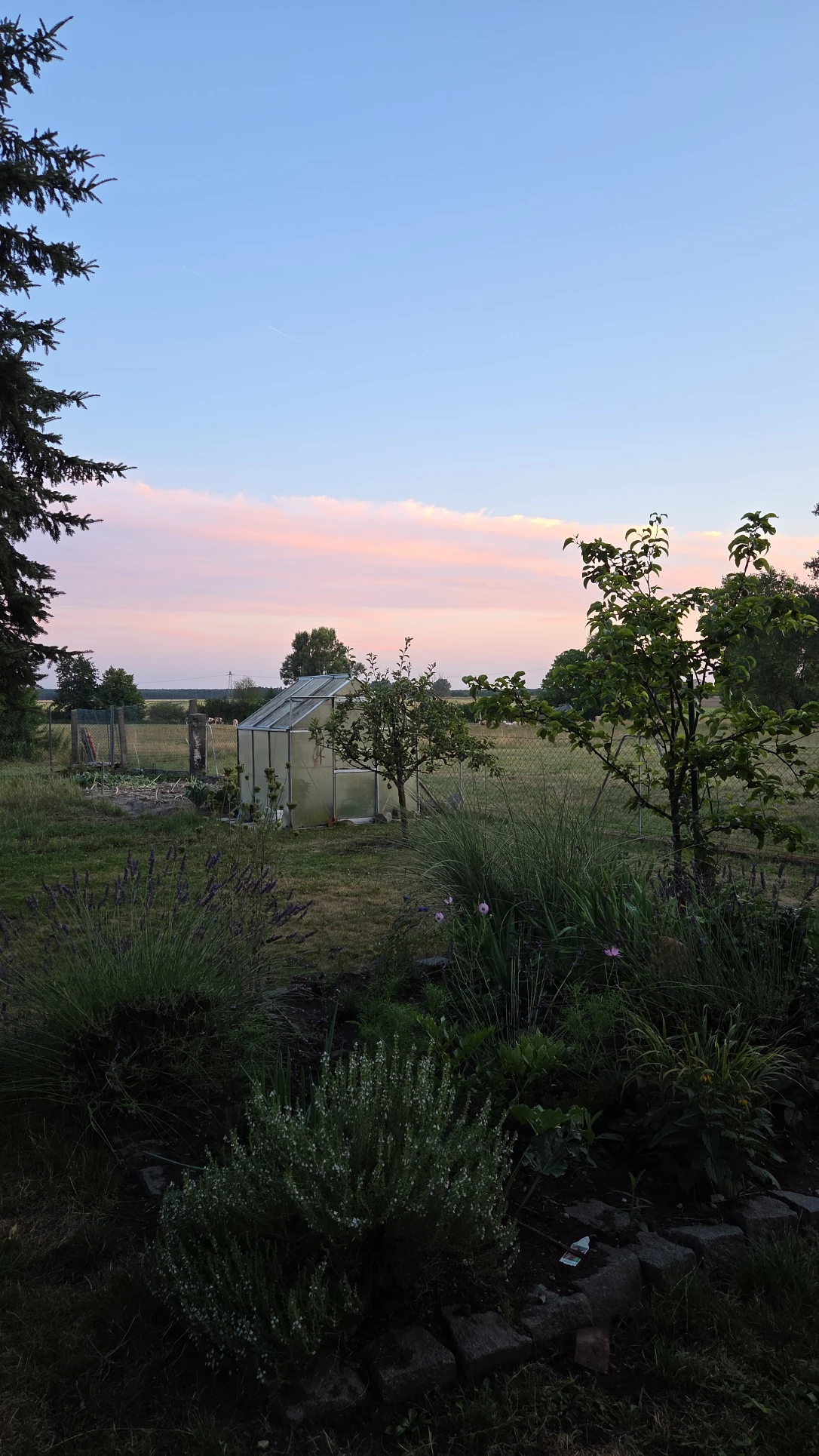 image-21