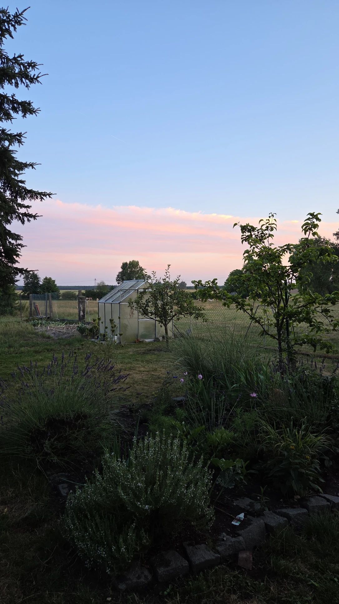 image-21