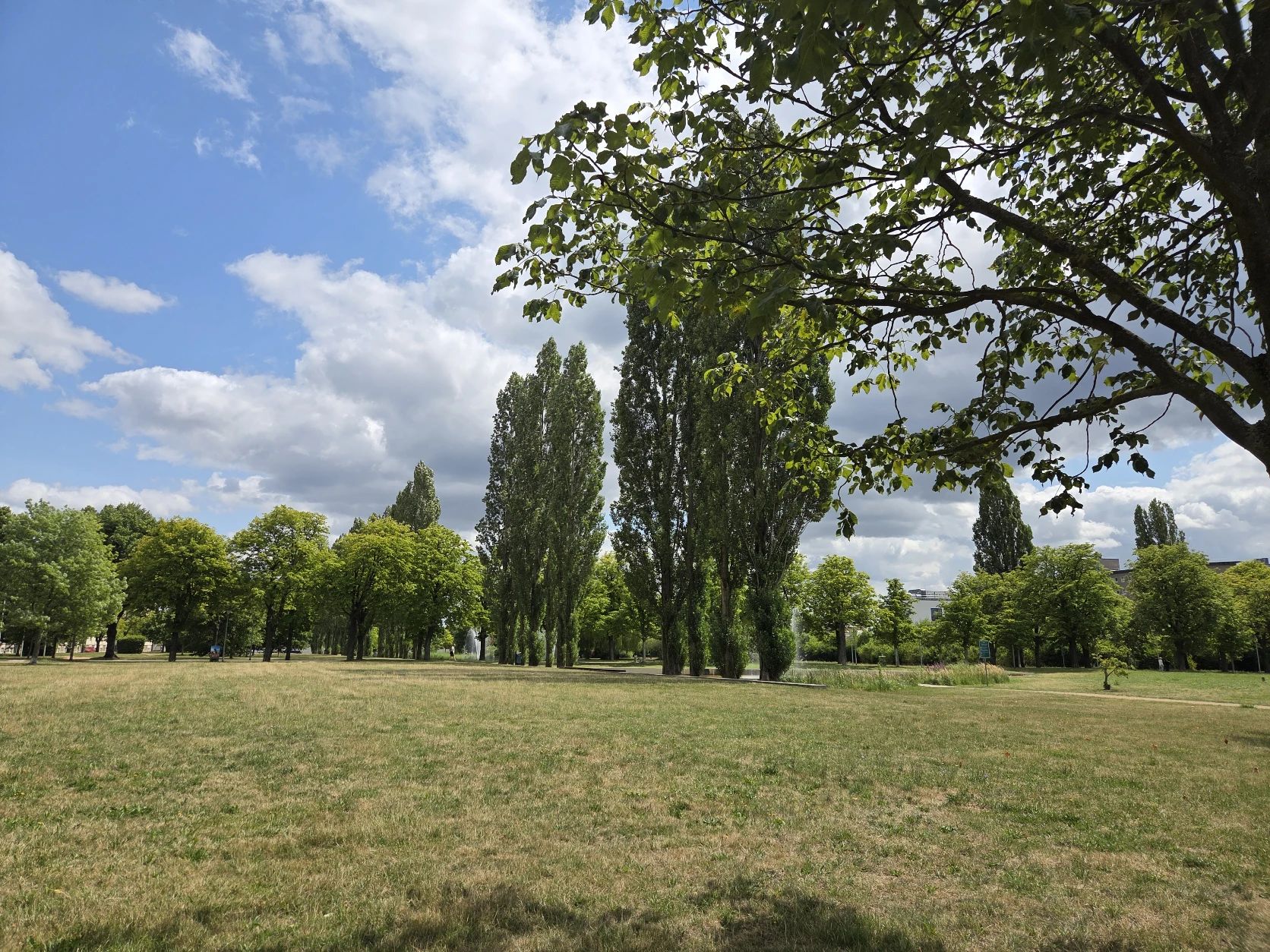 image-22