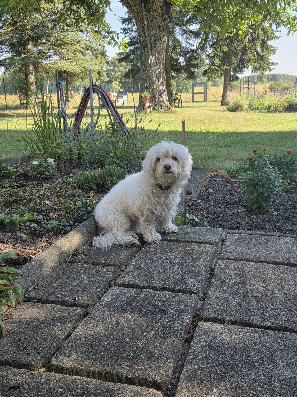 image-6