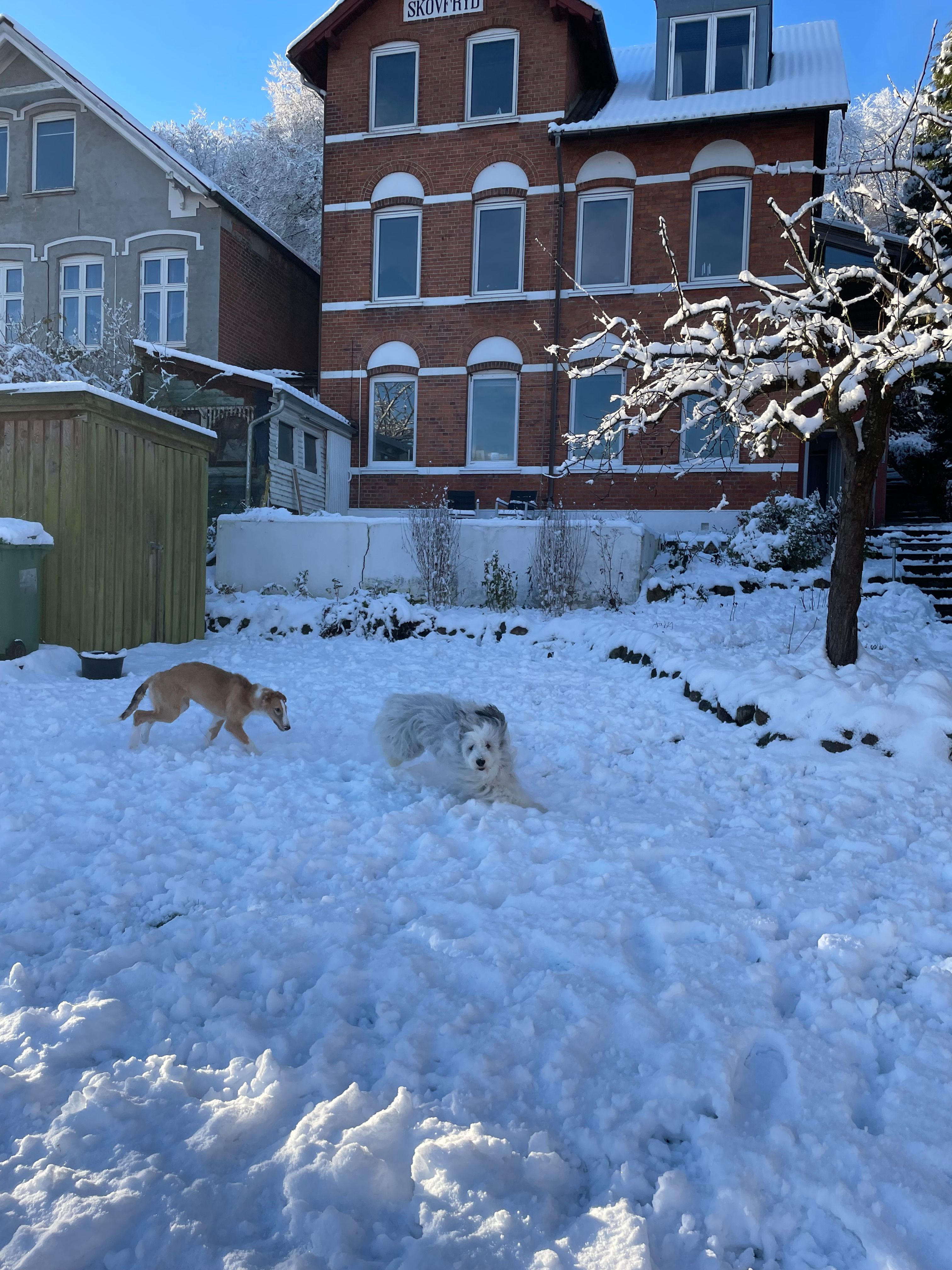 image-15