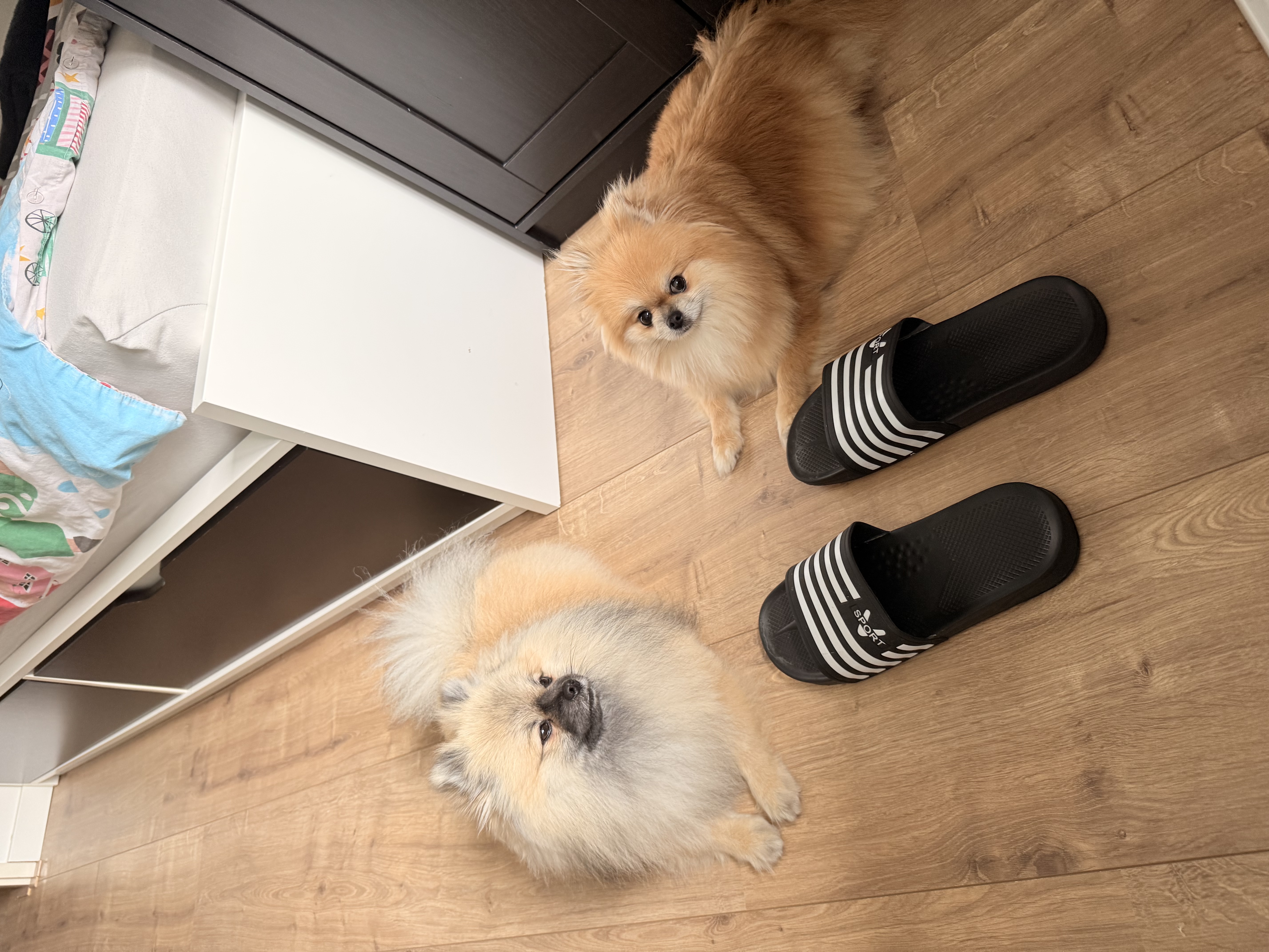 image-9