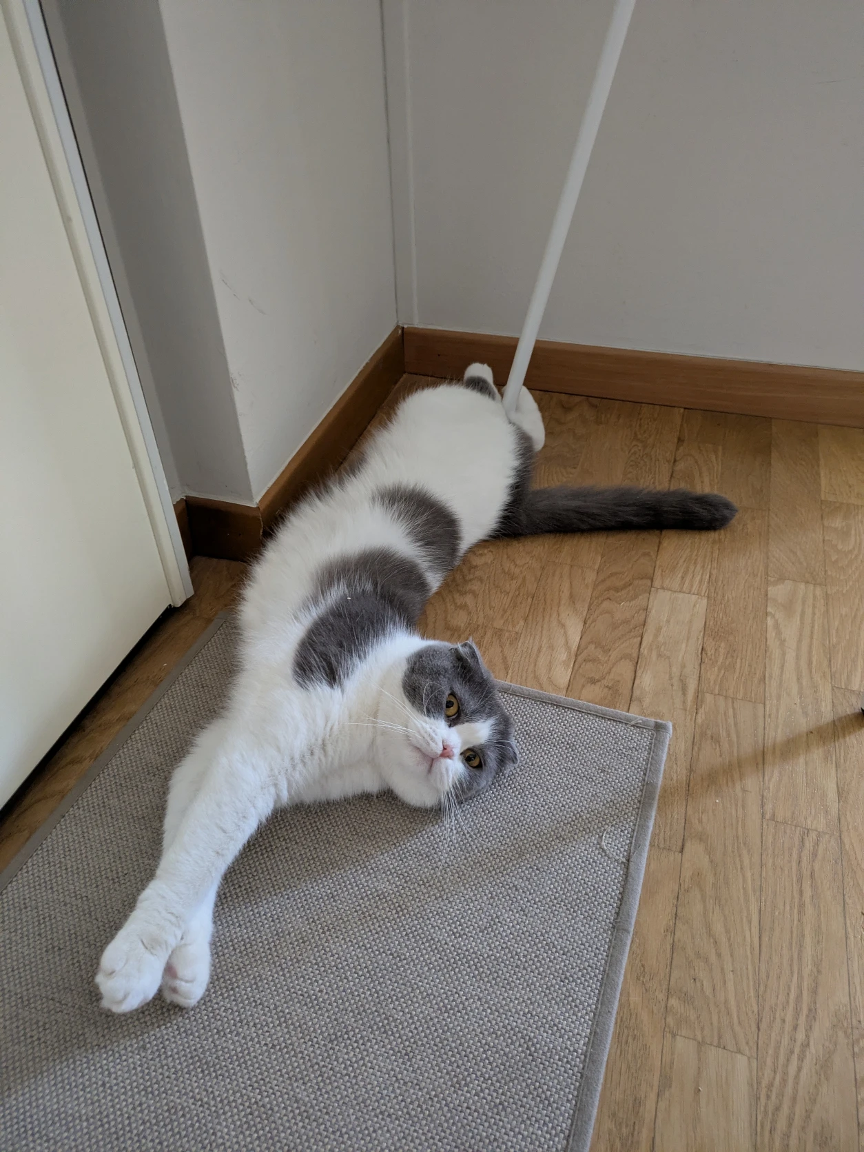image-12