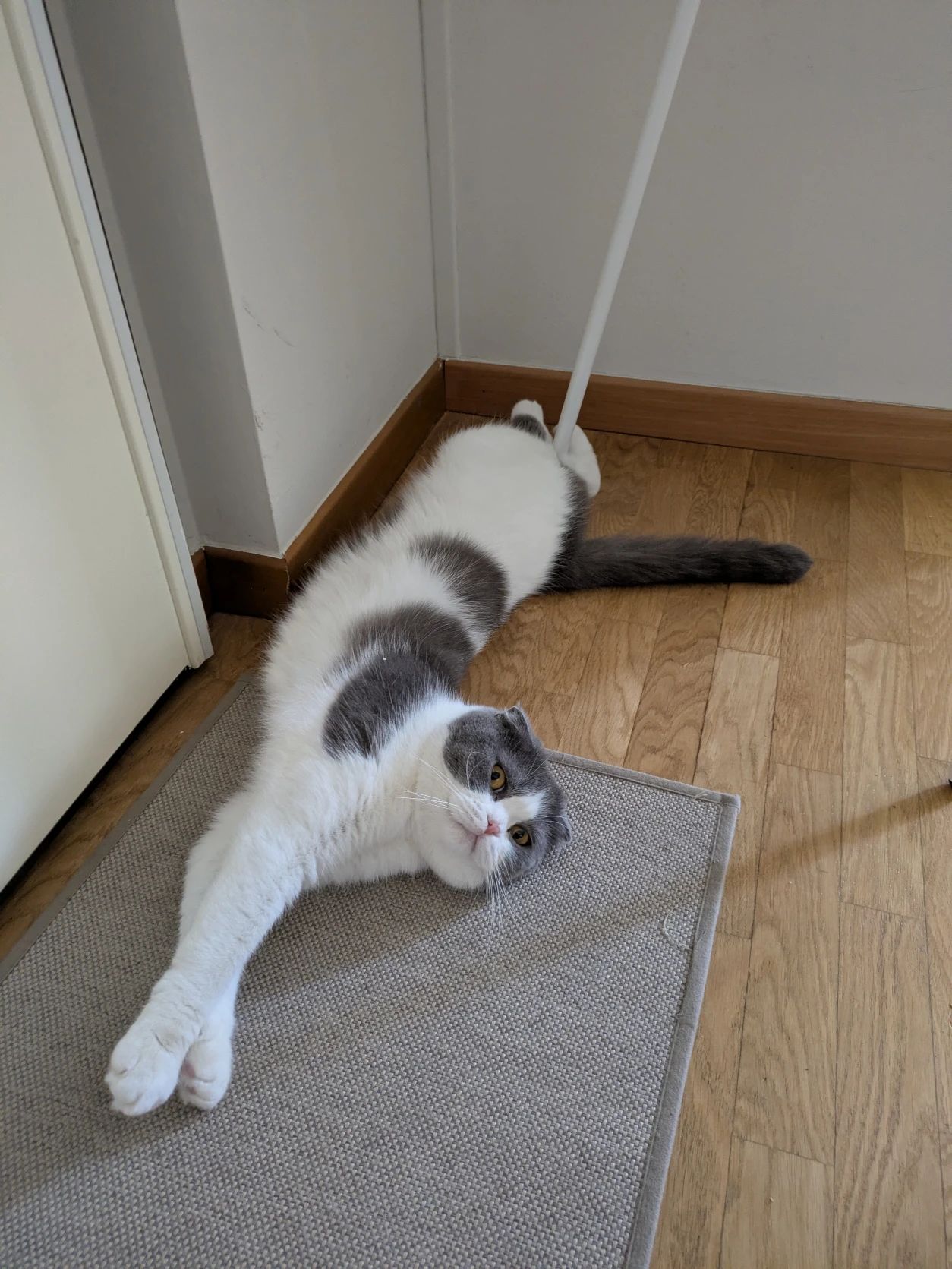 image-12