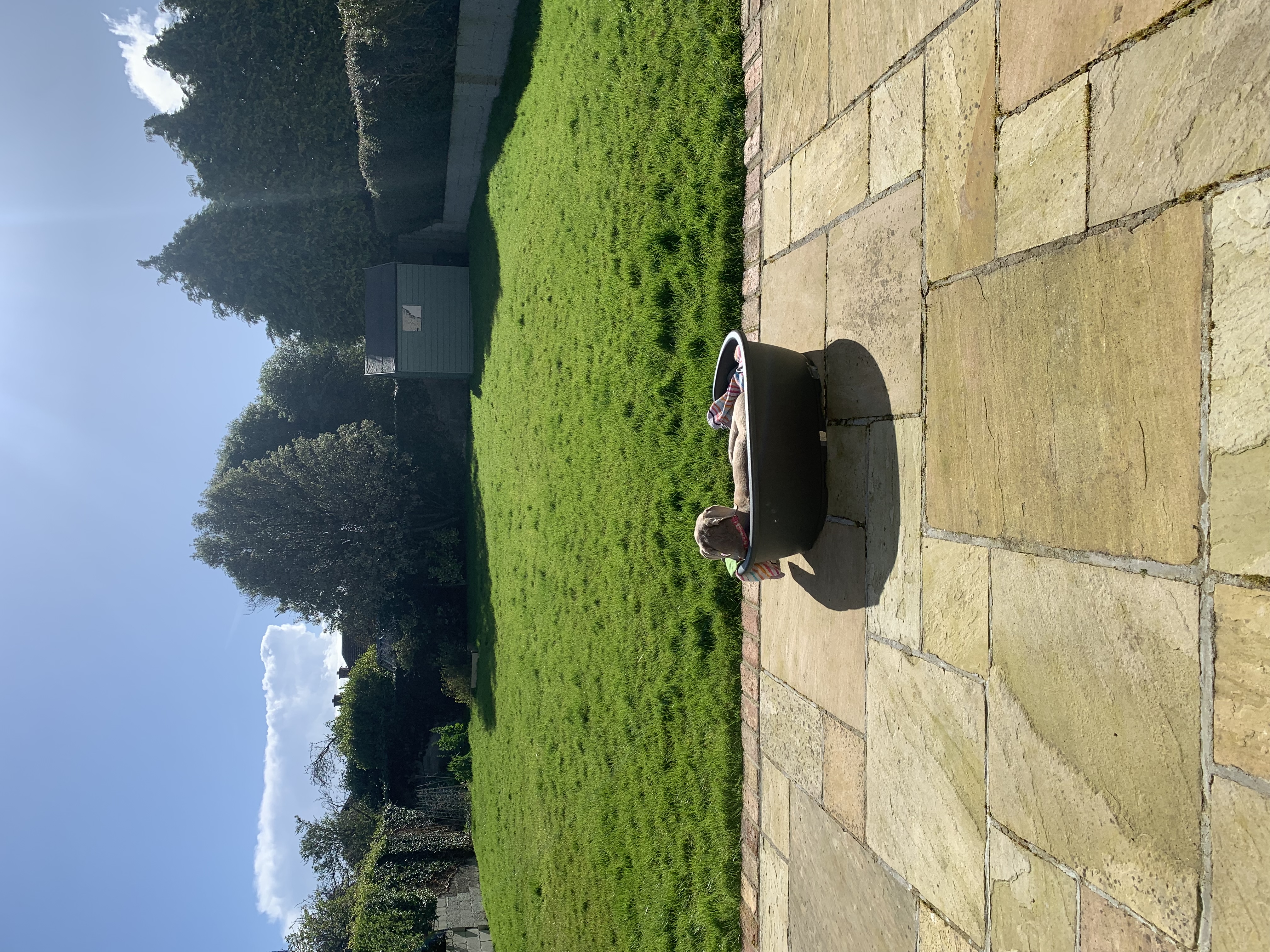 image-11