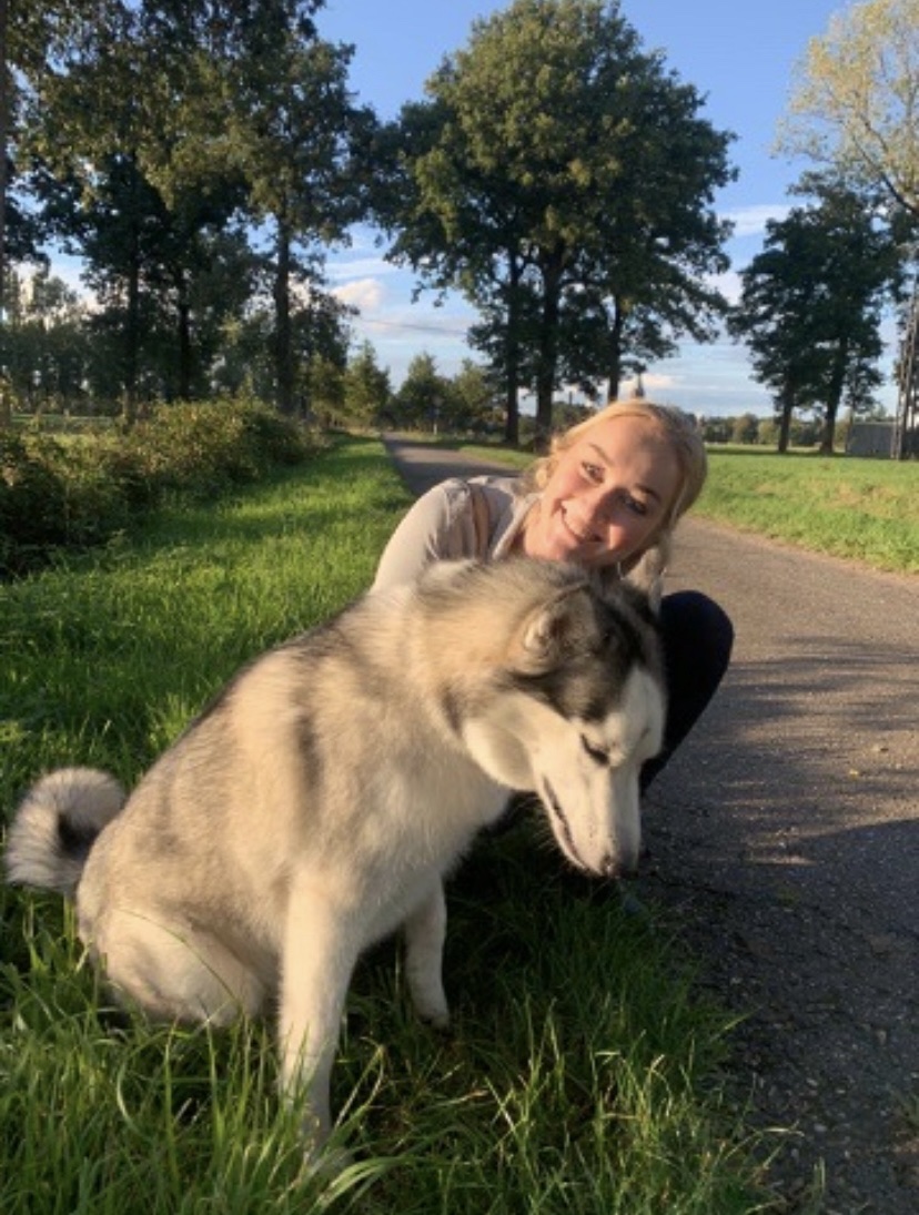 image-8