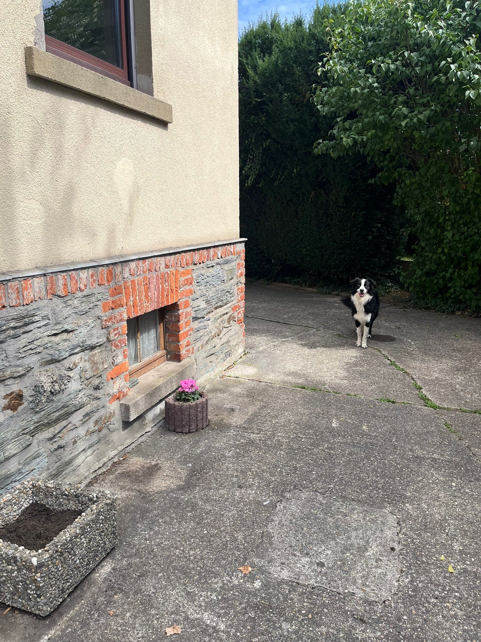 image-11