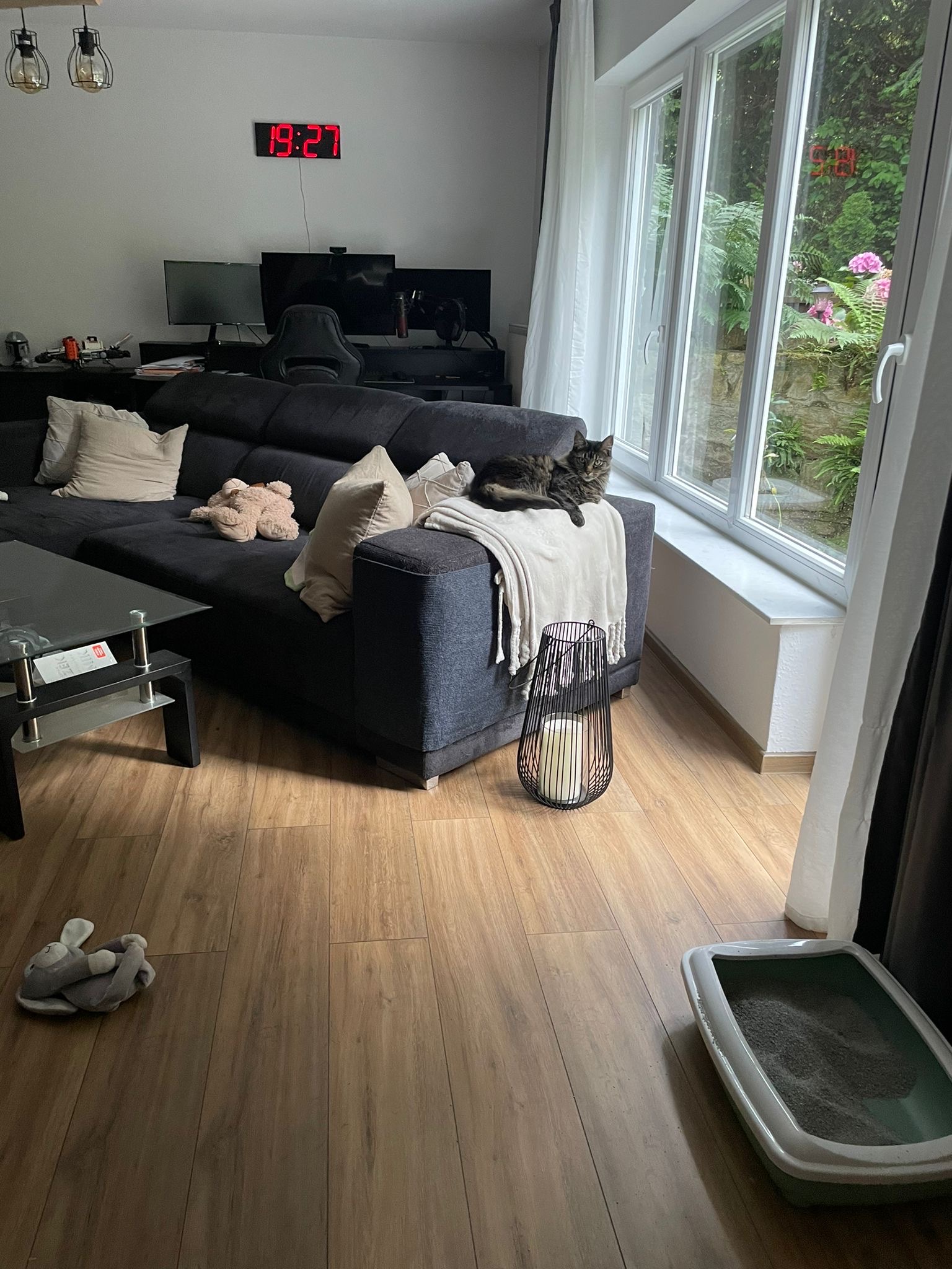 image-10