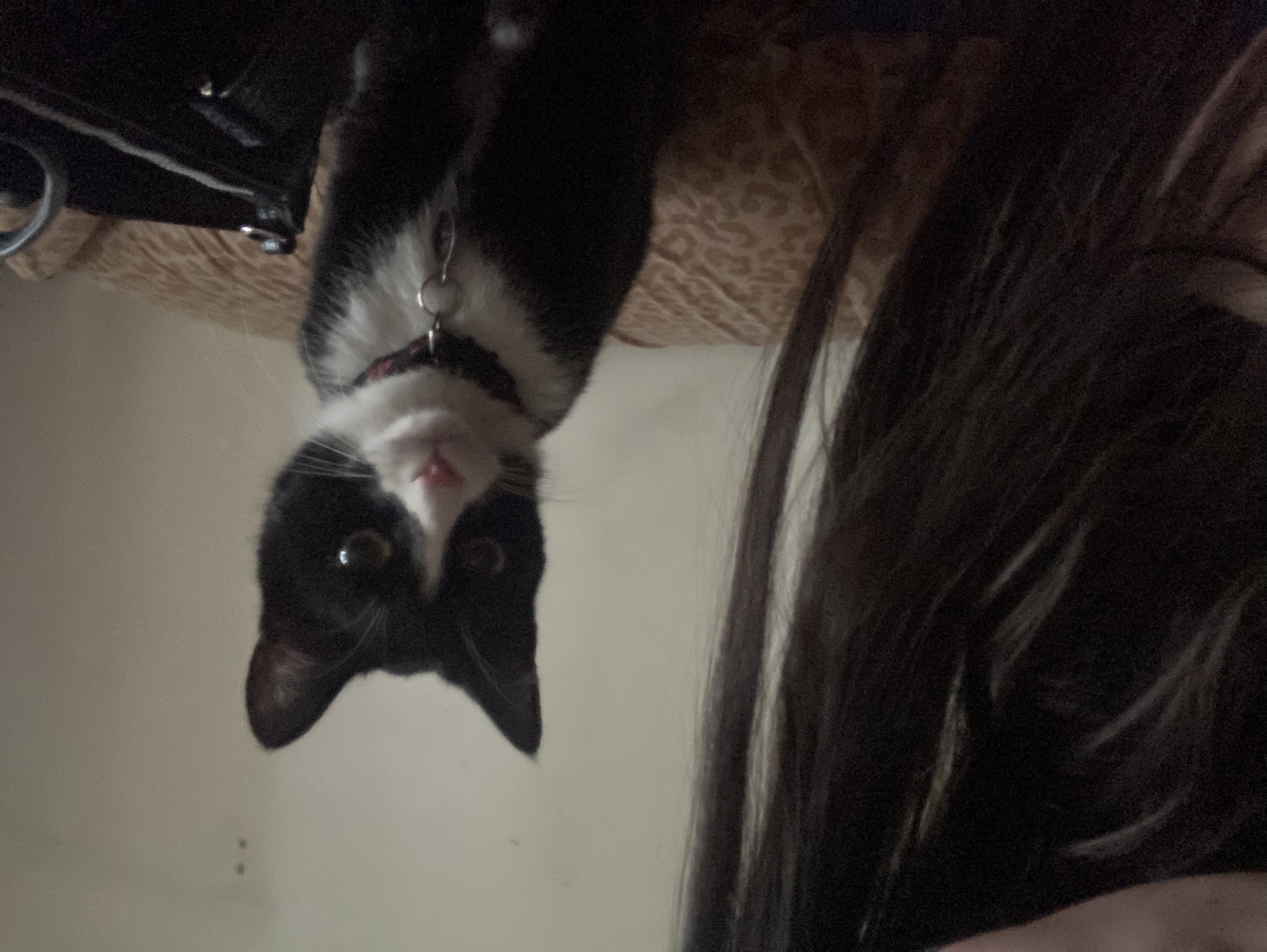 image-8