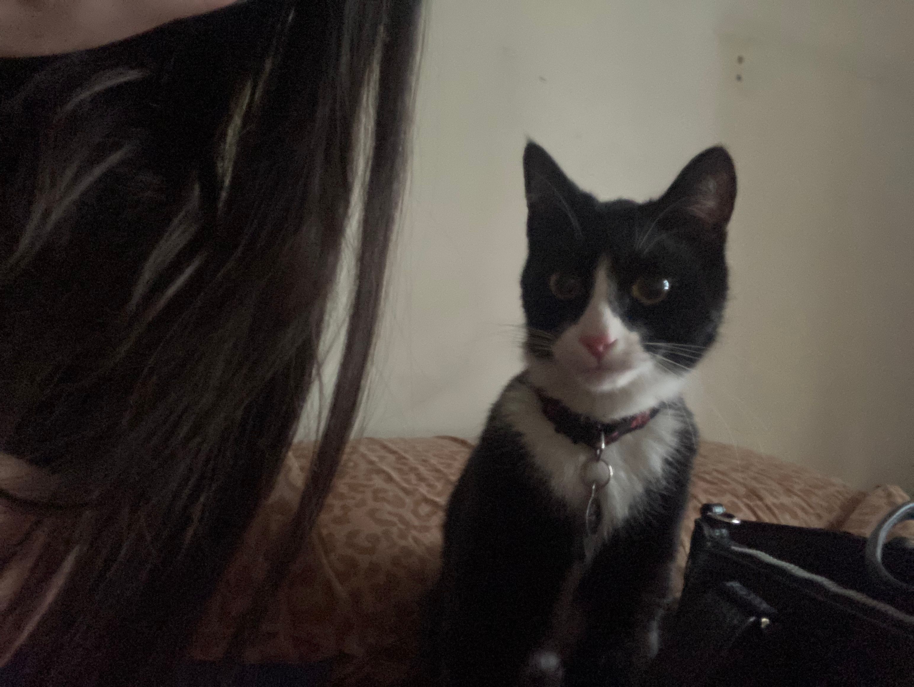 image-8