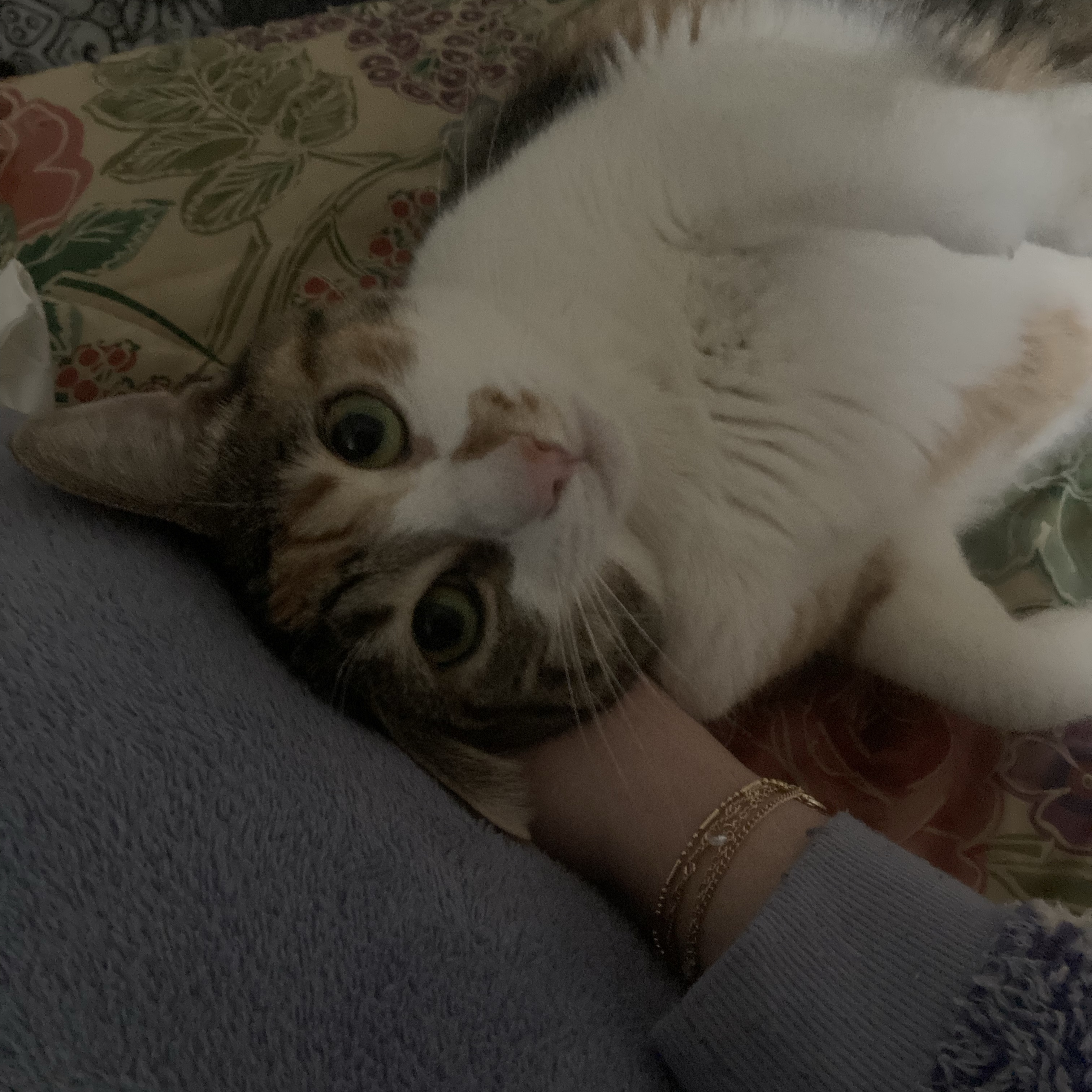 minù