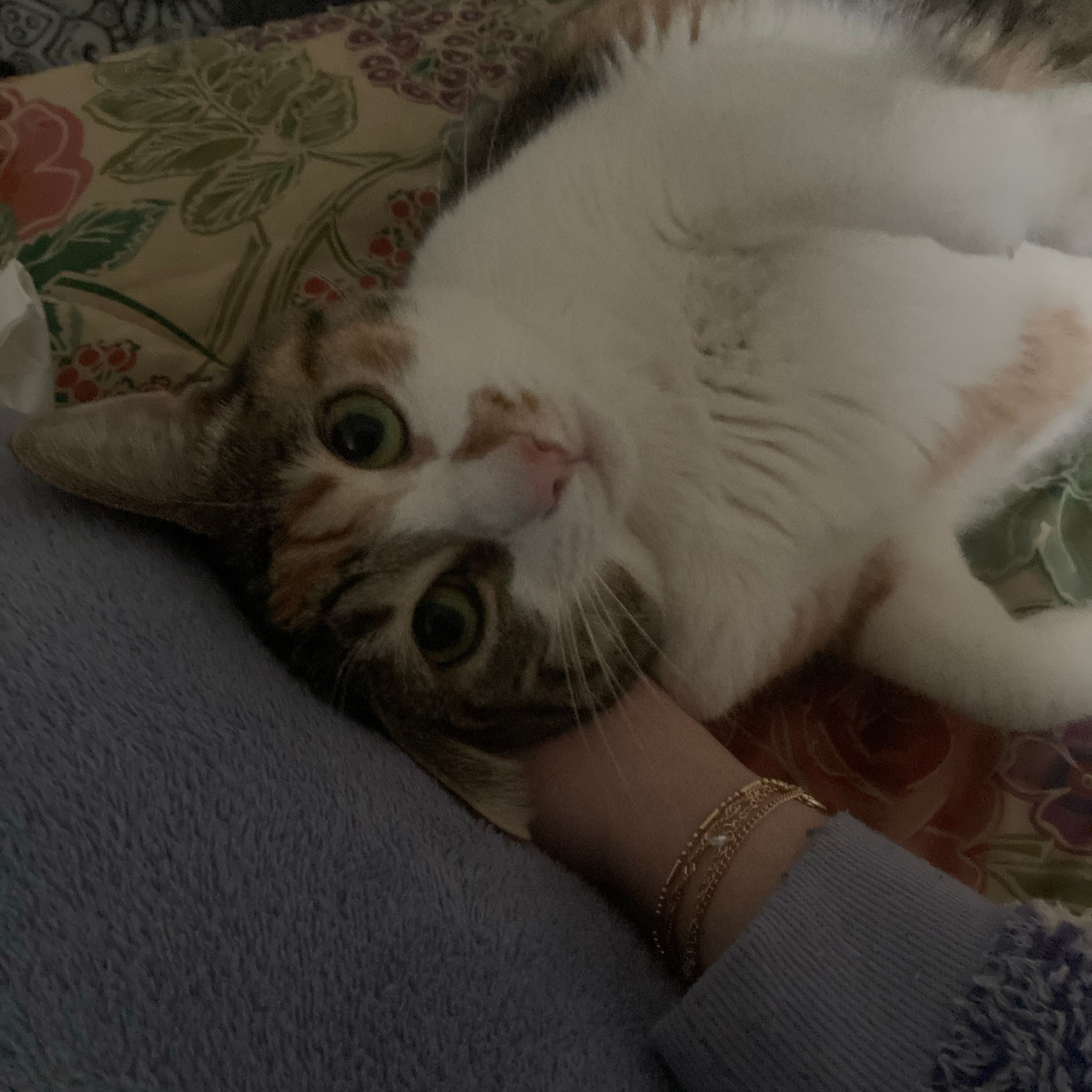 minù