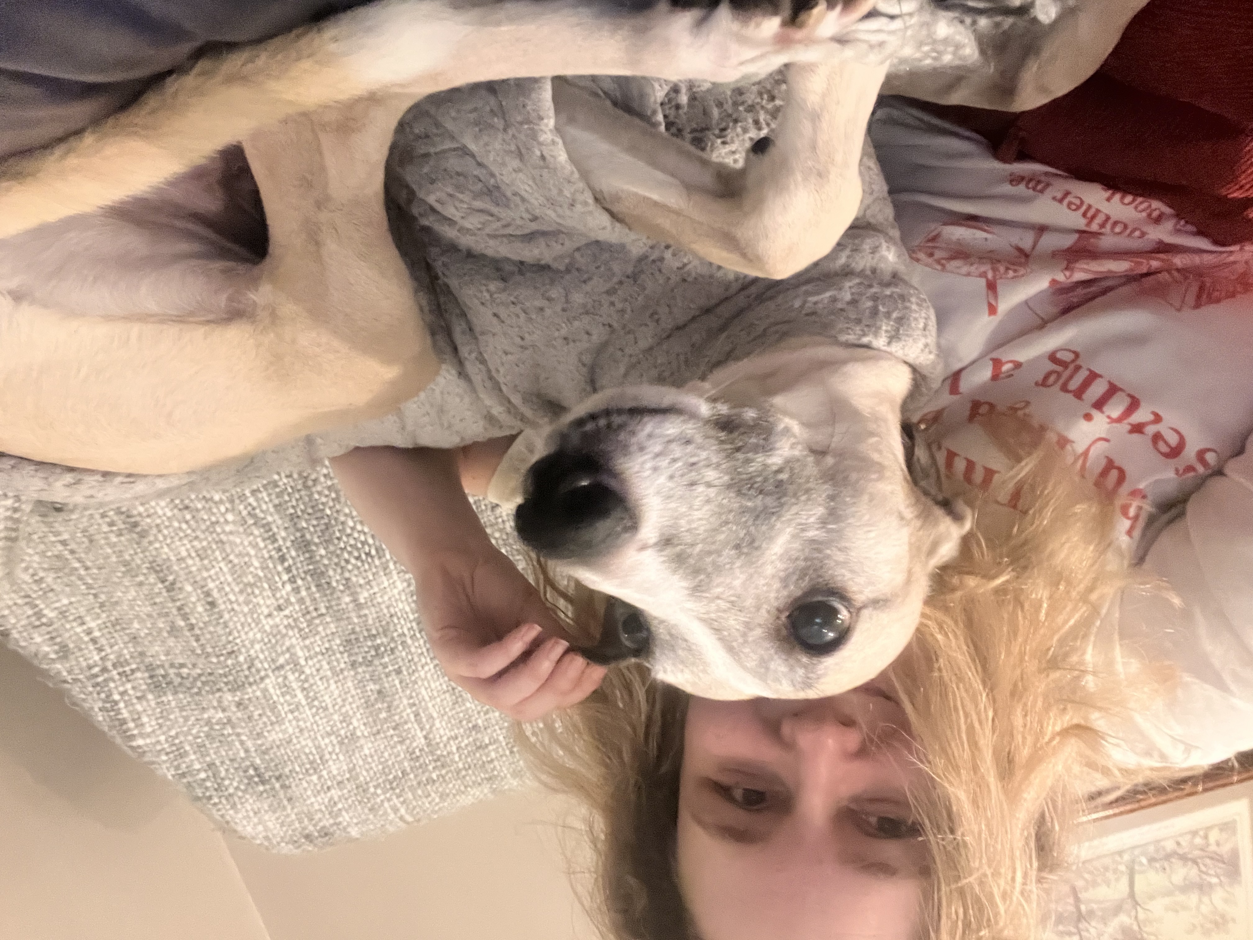 image-7