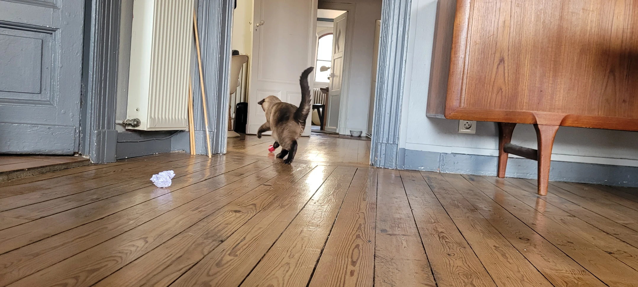 image-11