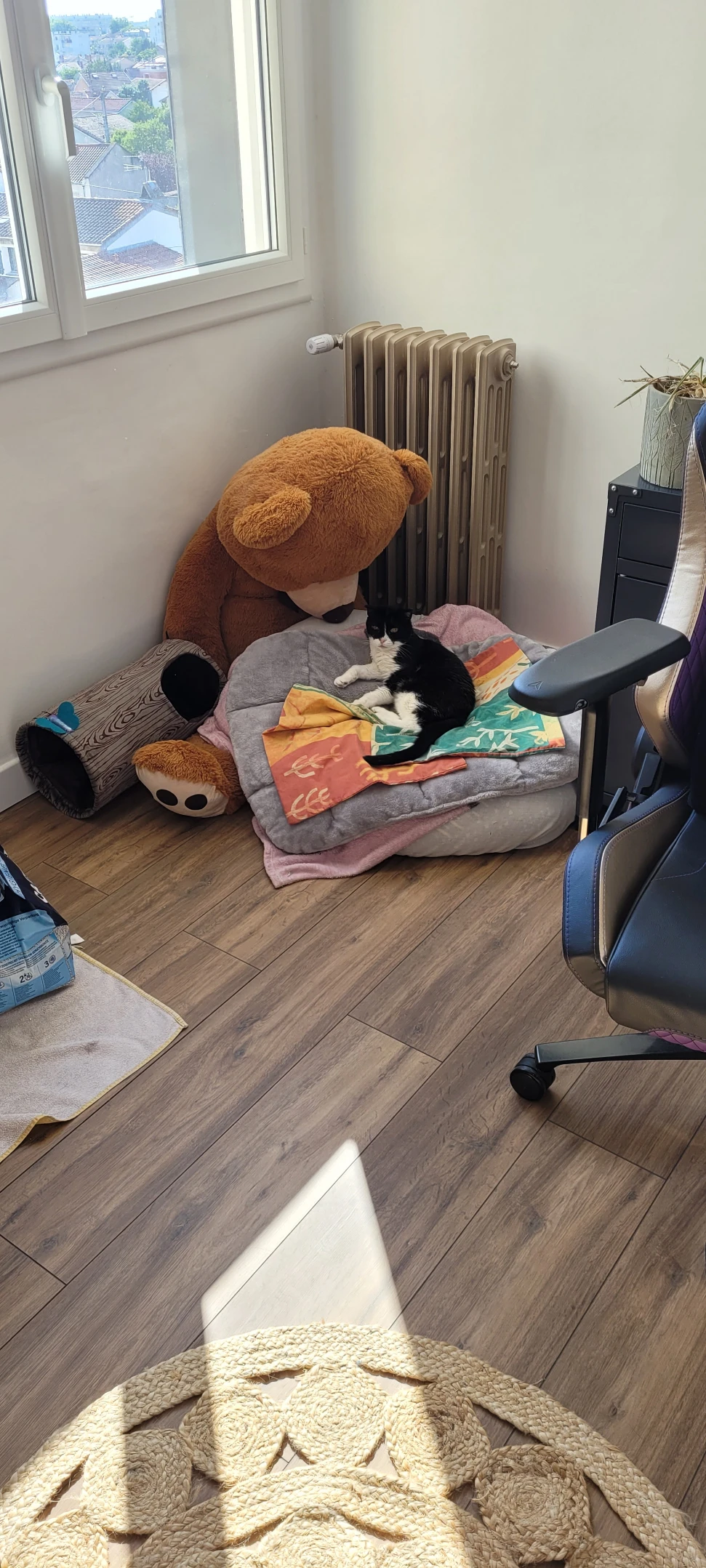 image-10