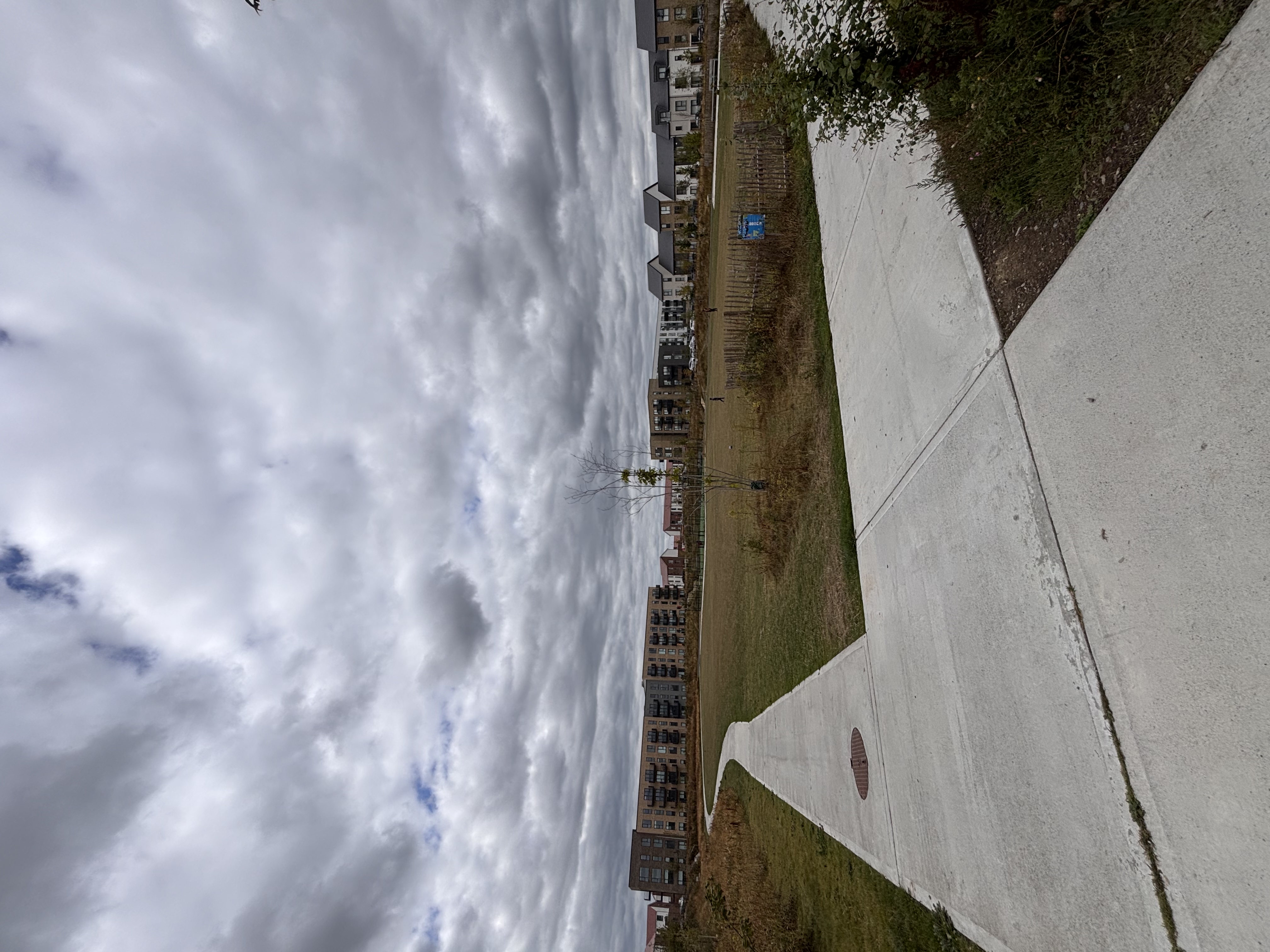 image-17