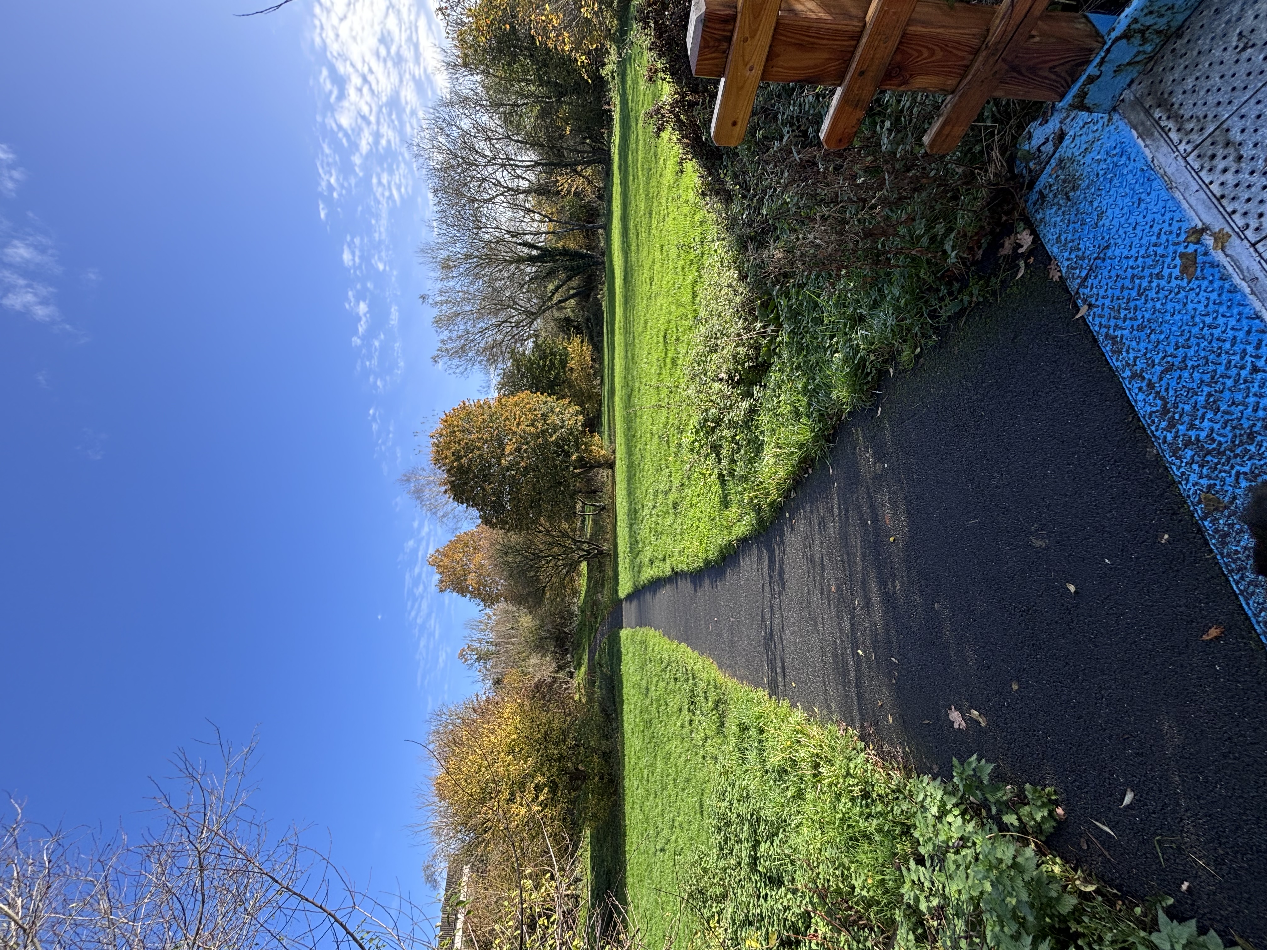 image-20
