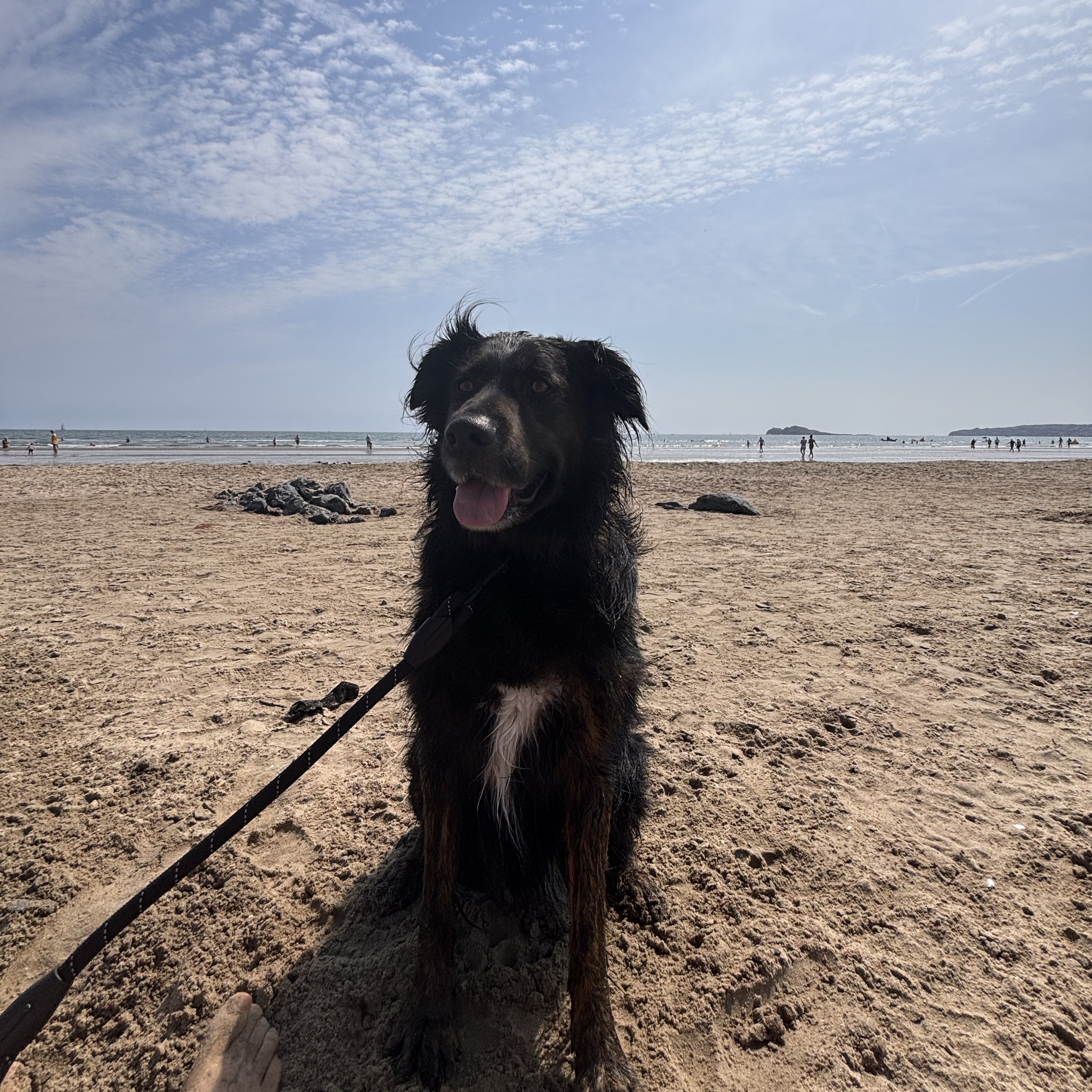Balu