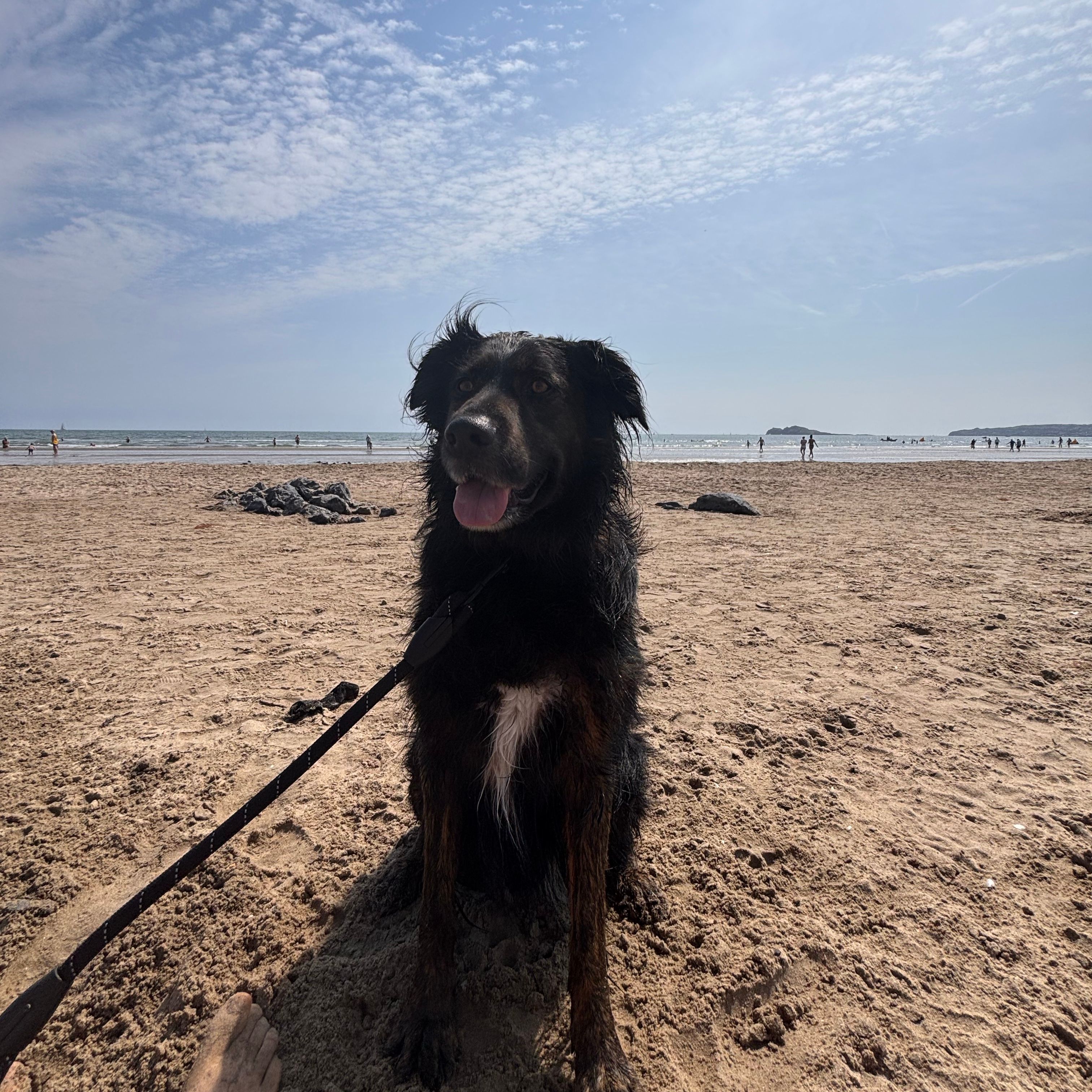 Balu